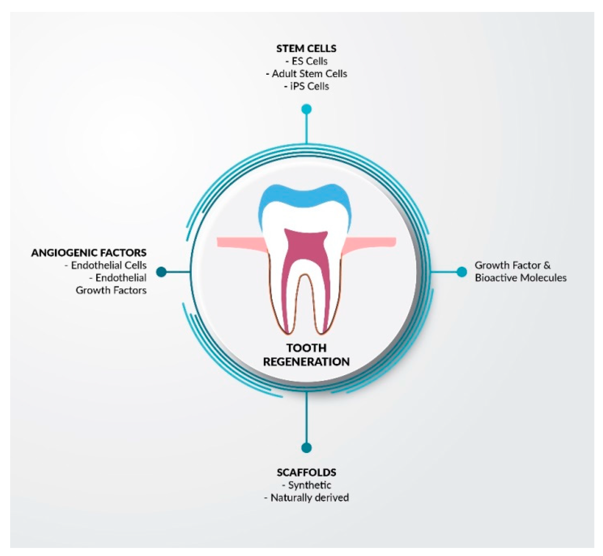 Nanomaterials 11 03374 g005 Nanomaterials 11 03374 g005