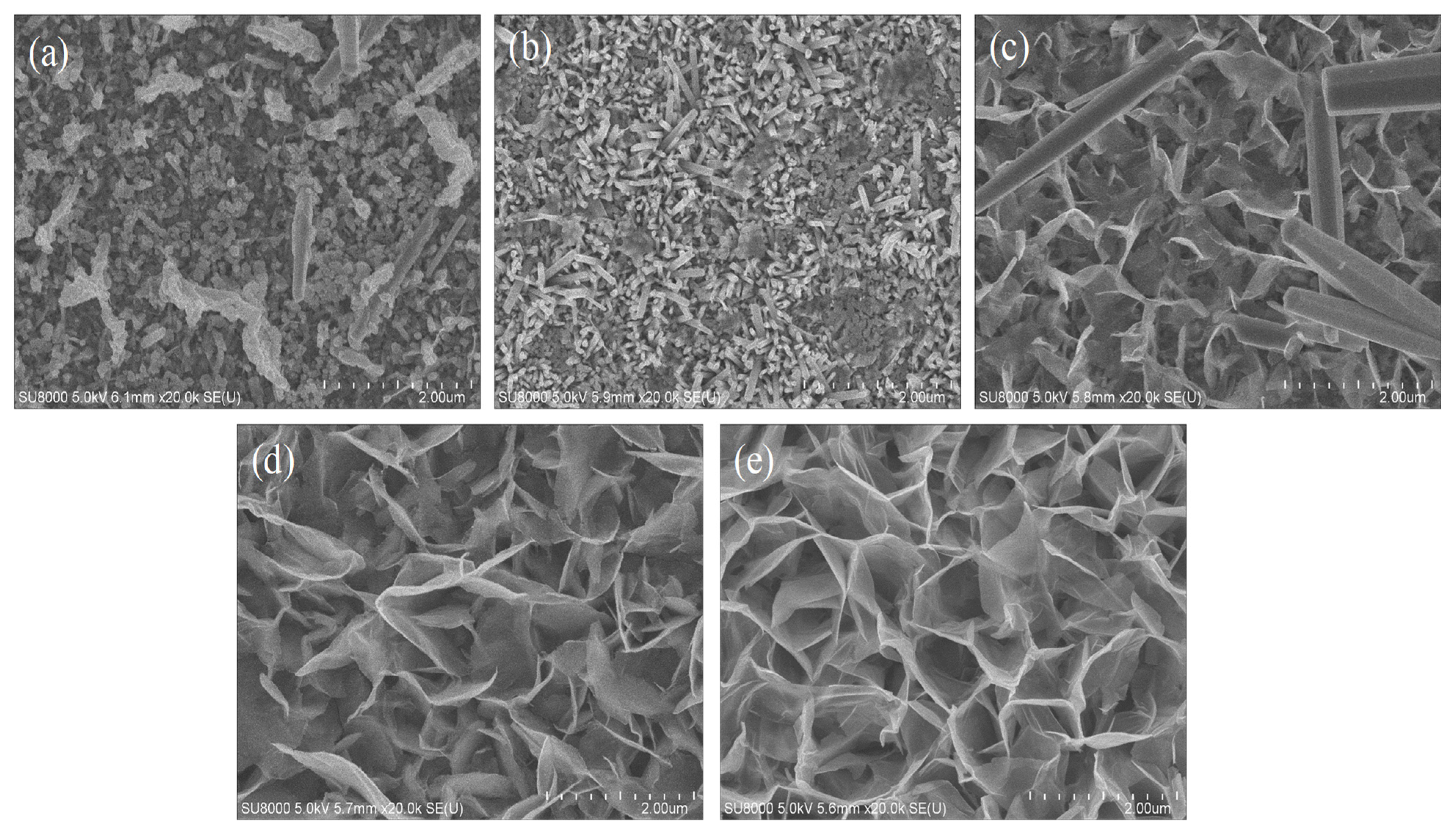 Nanomaterials 11 03377 g004 550