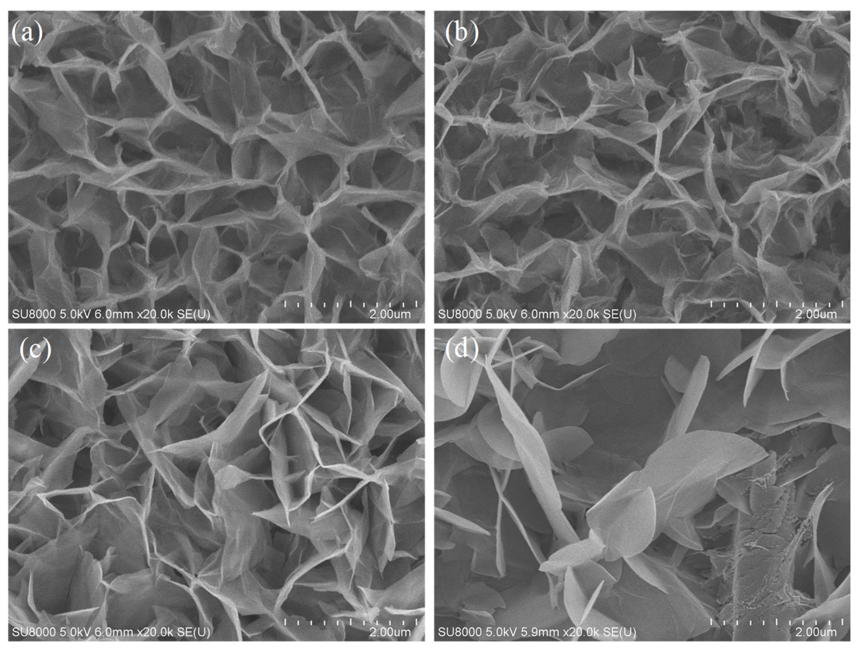 Nanomaterials 11 03377 g005 550