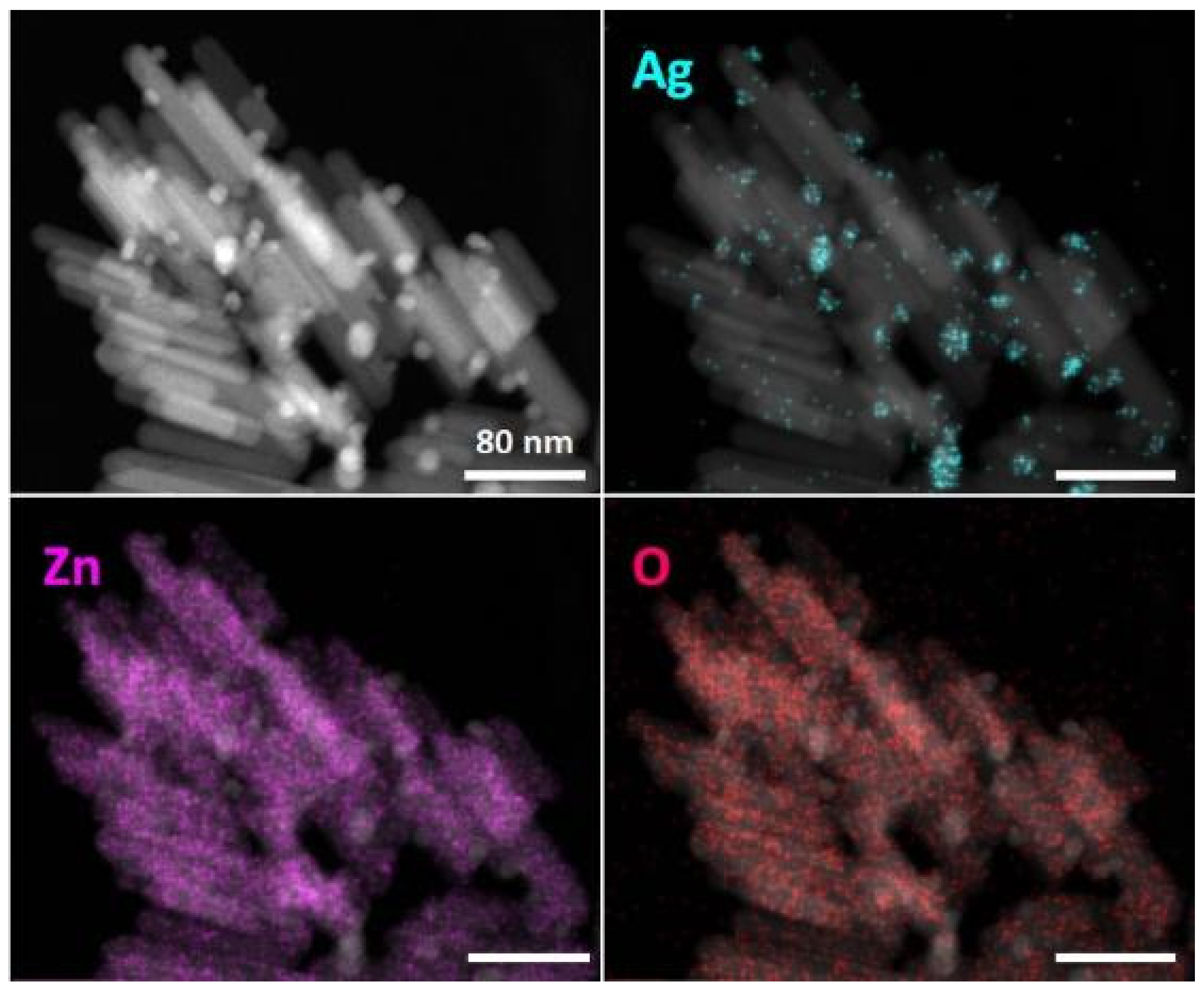 Nanomaterials 11 03384 g001