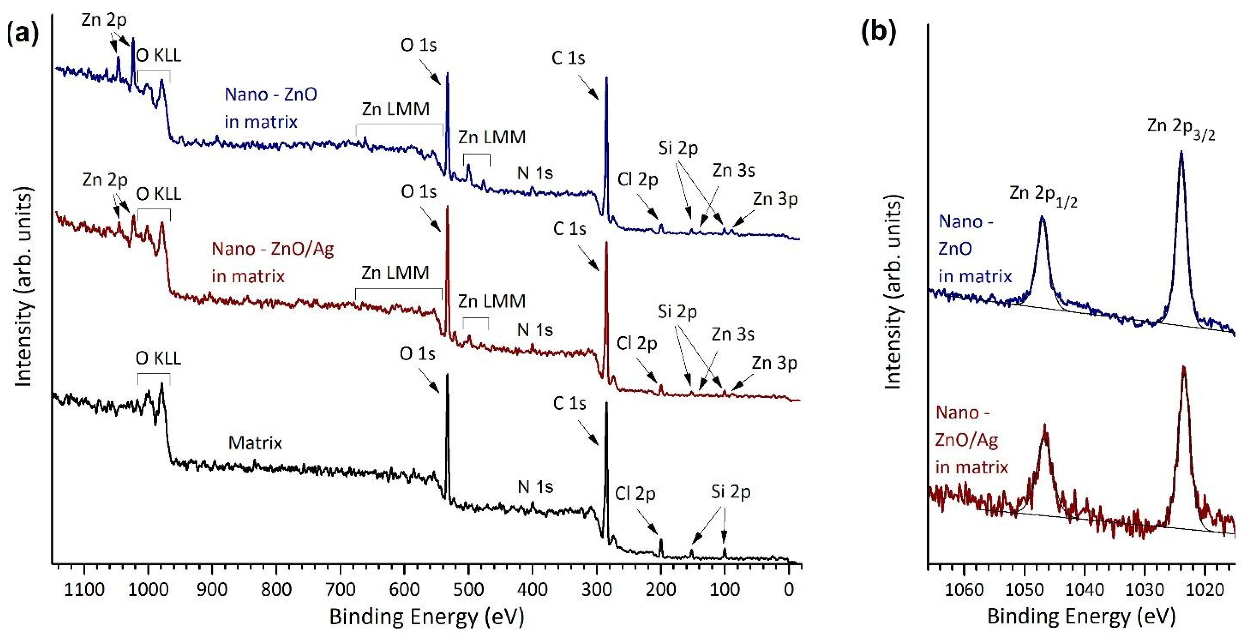 Nanomaterials 11 03384 g003