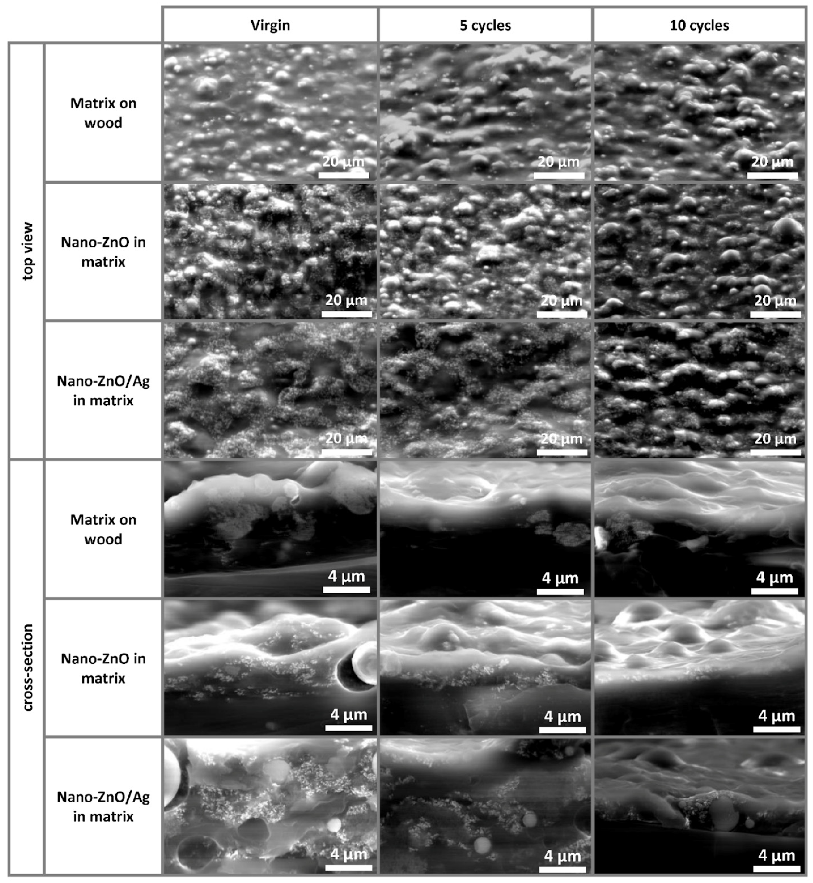 Nanomaterials 11 03384 g008