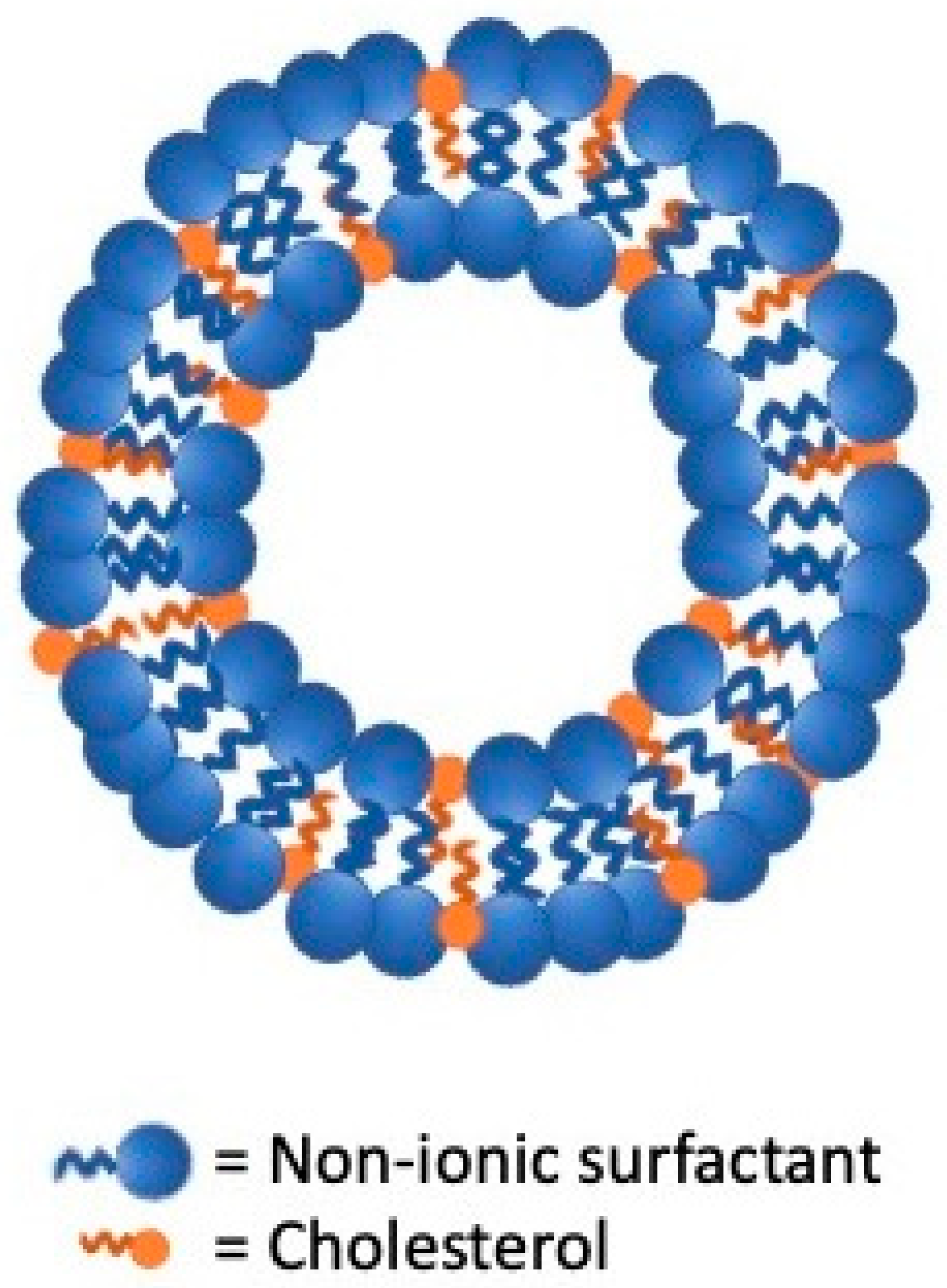 Nanomaterials 11 03391 g001 550