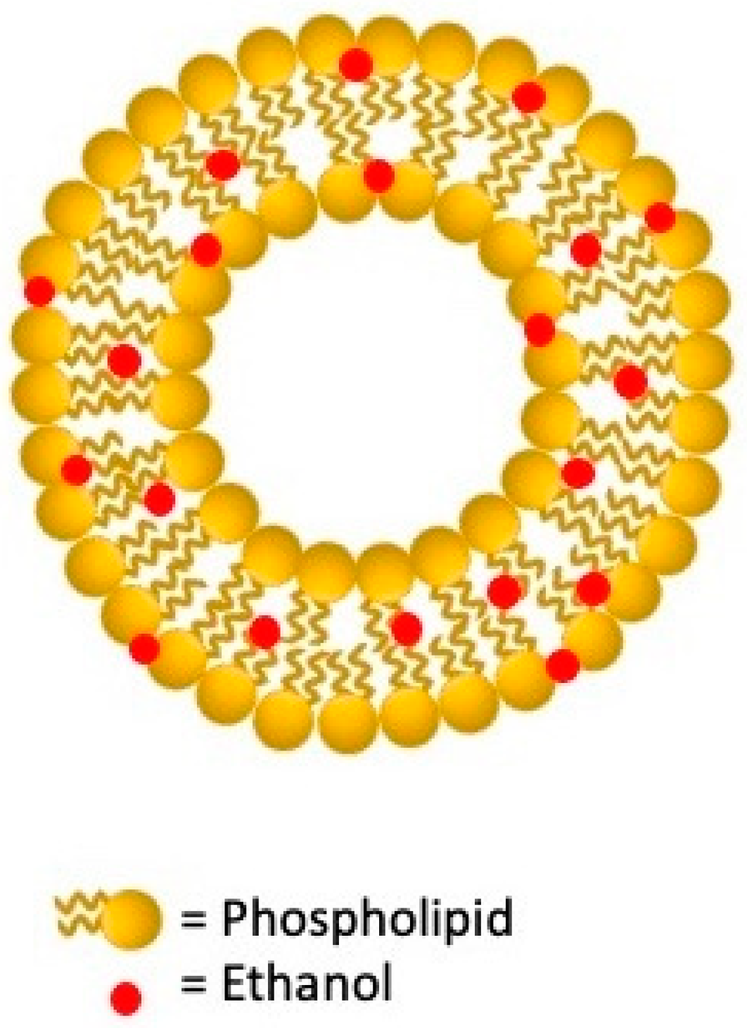 Nanomaterials 11 03391 g003 550