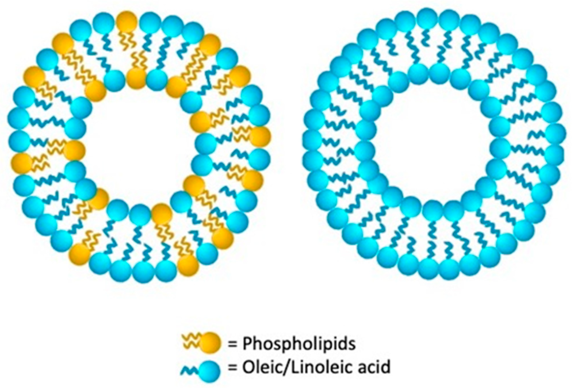 Nanomaterials 11 03391 g006 550