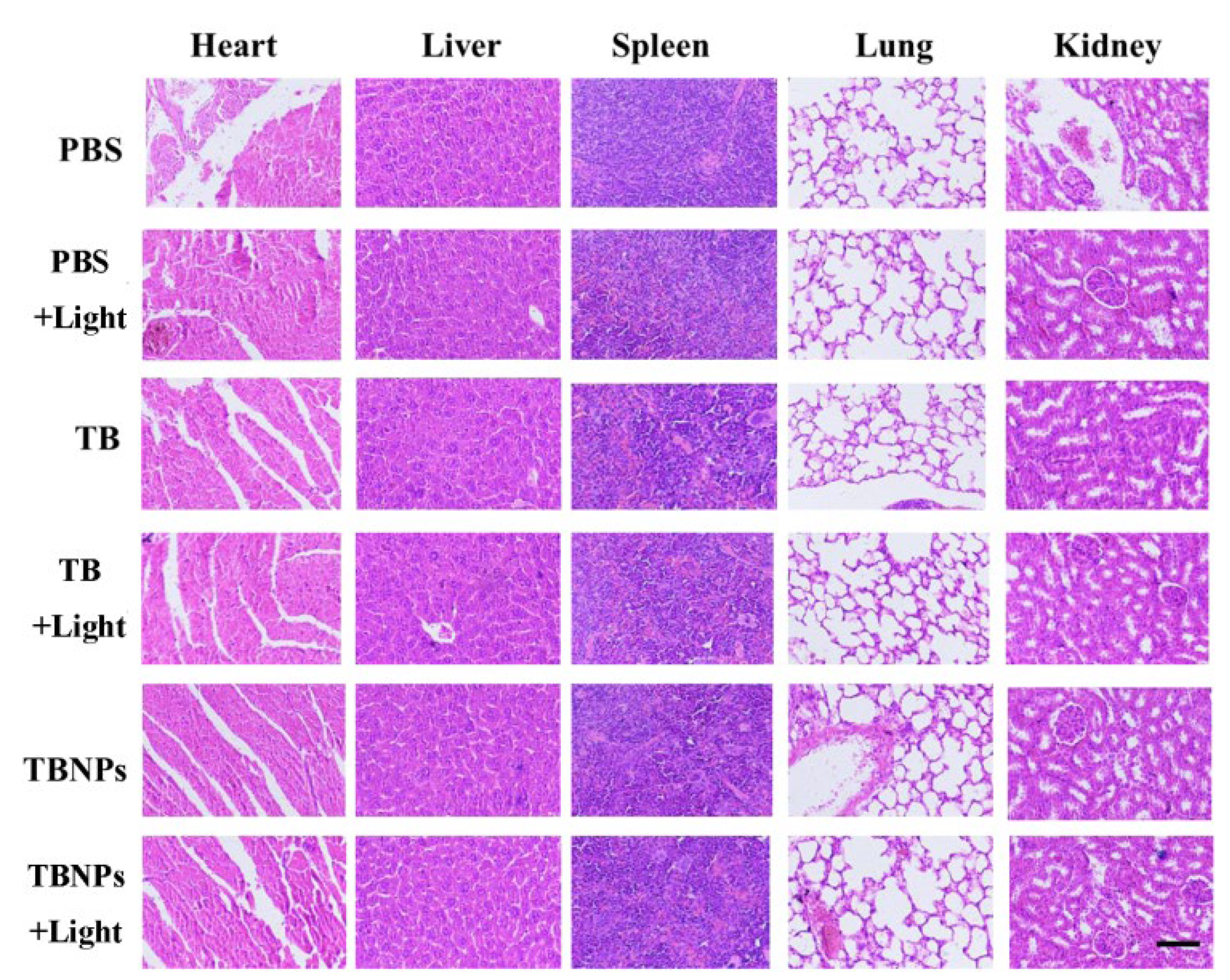 Nanomaterials 11 03394 g003