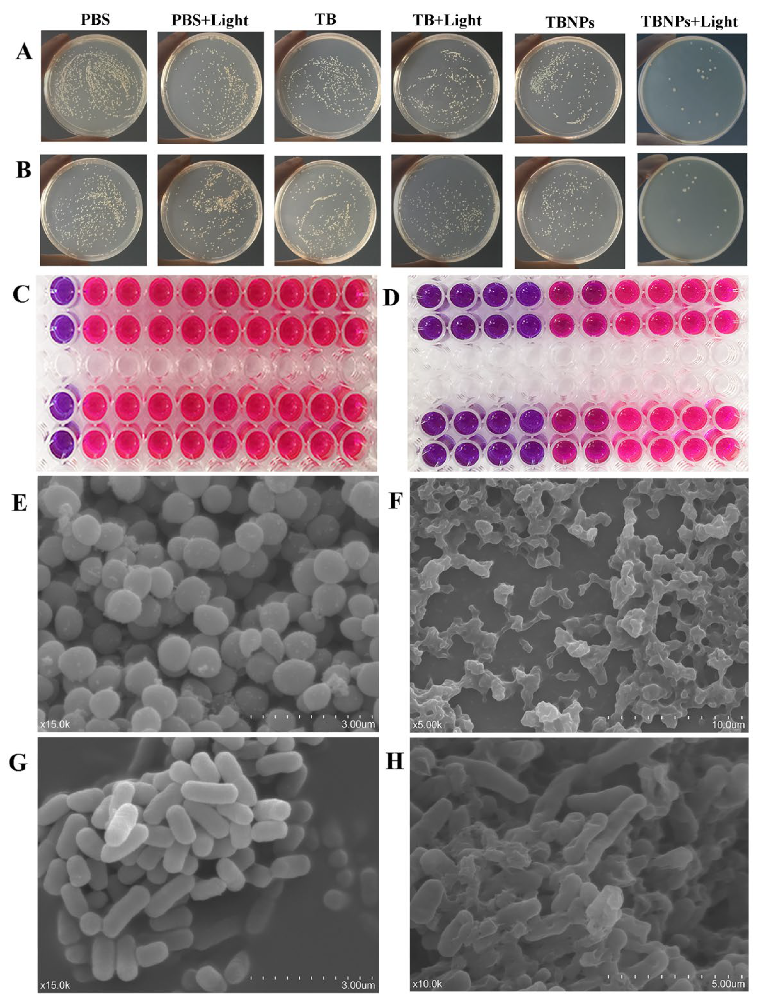 Nanomaterials 11 03394 g004