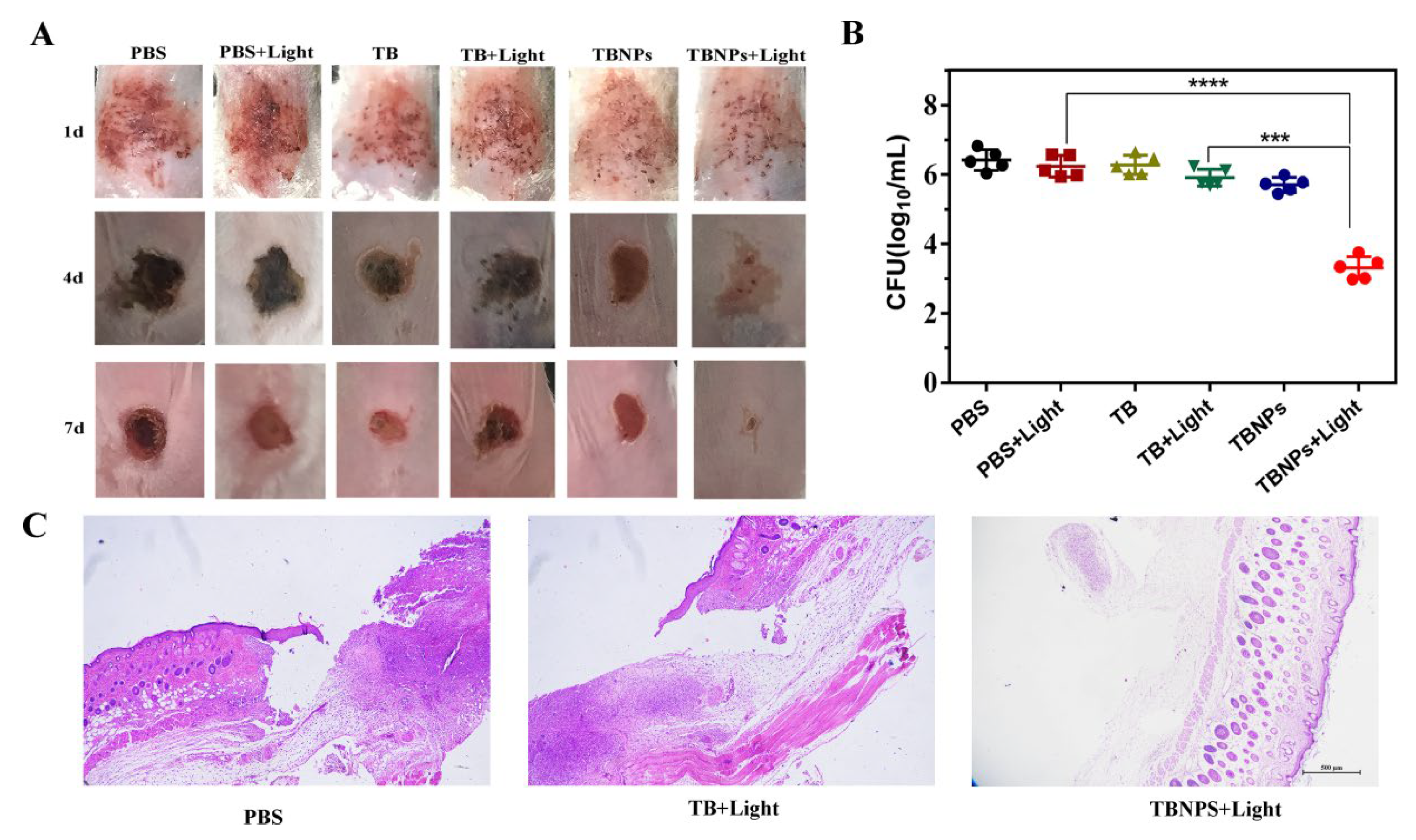 Nanomaterials 11 03394 g005