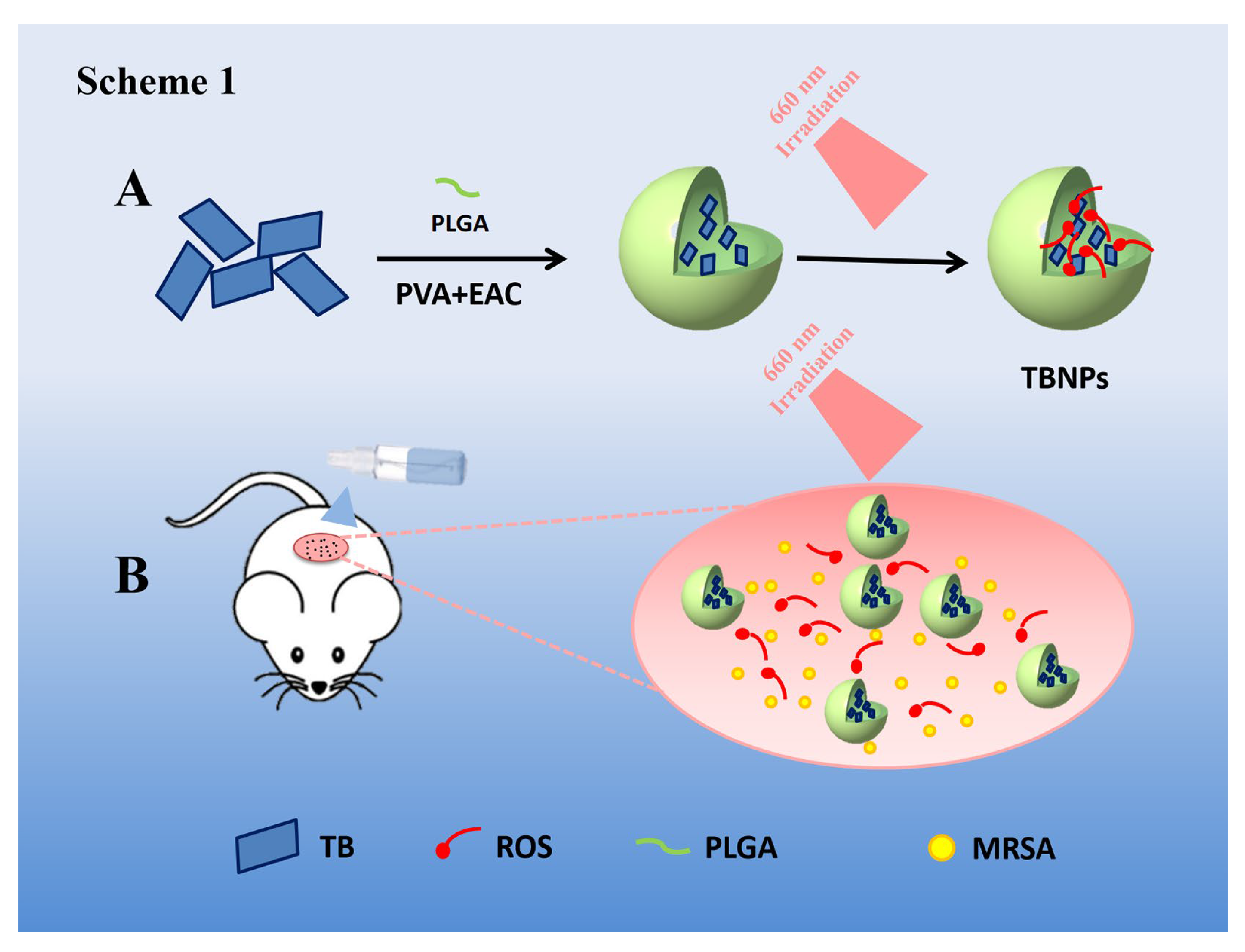 Nanomaterials 11 03394 sch001