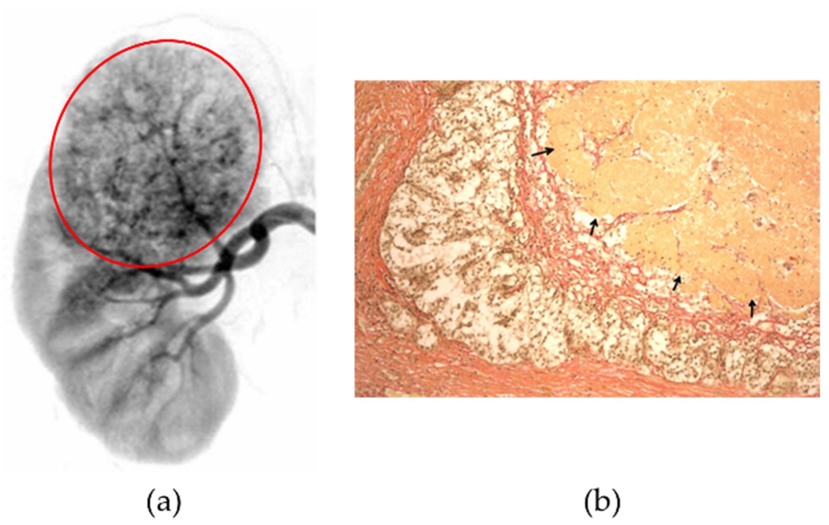Nanomaterials 11 03402 g002 Nanomaterials 11 03402 g002