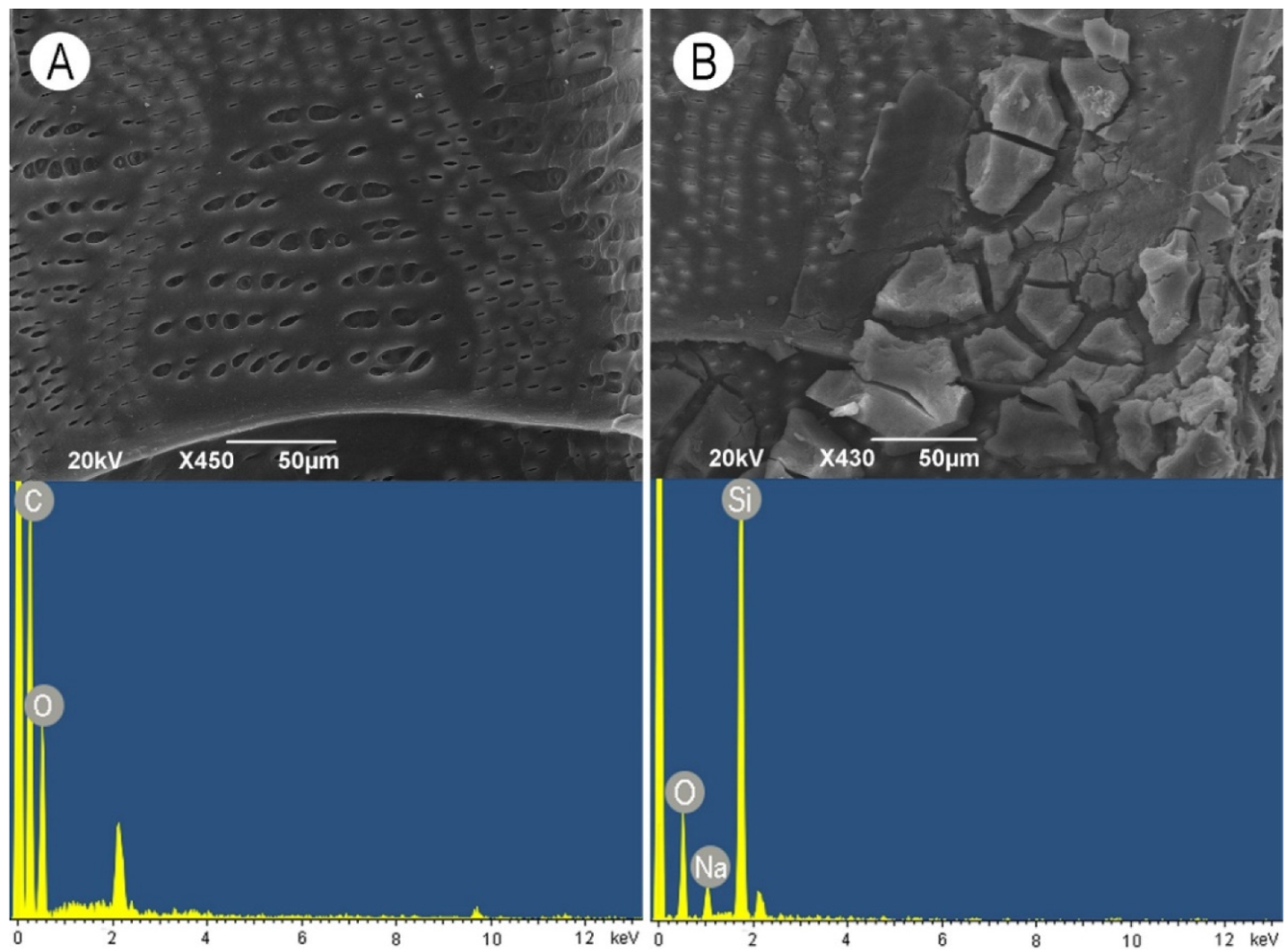 Nanomaterials 11 03405 g006 Nanomaterials 11 03405 g006