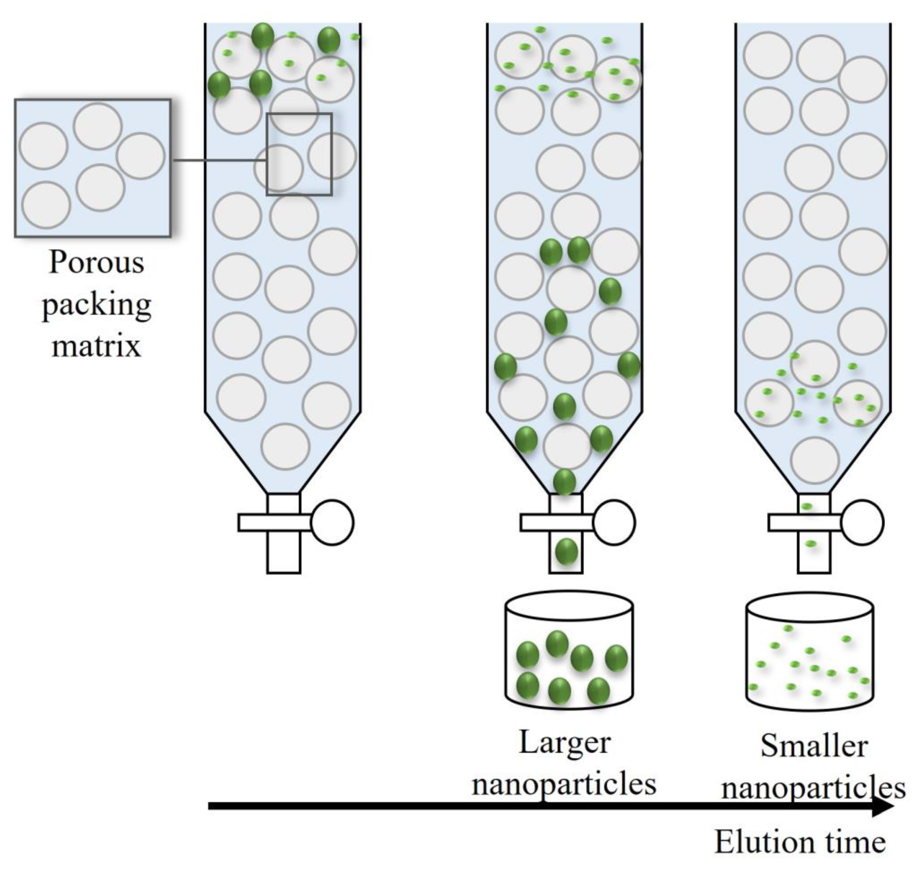 Nanomaterials 11 03407 g005 550