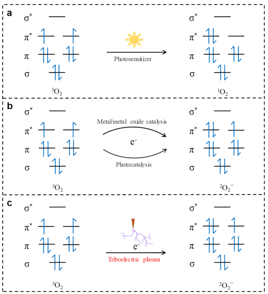 Nanomaterials 11 03408 g001
