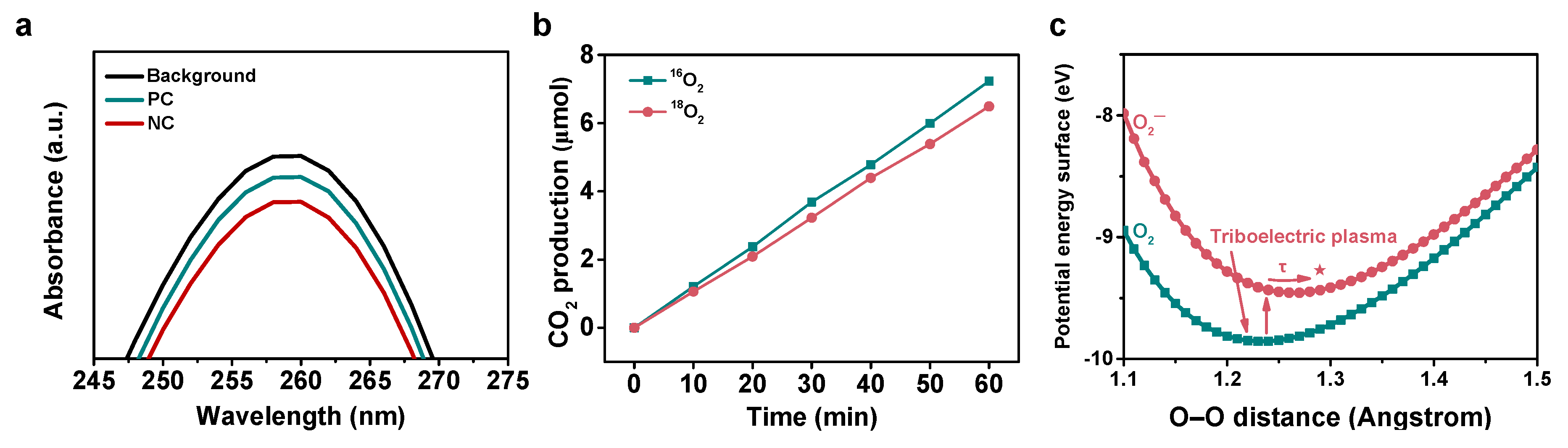 Nanomaterials 11 03408 g004
