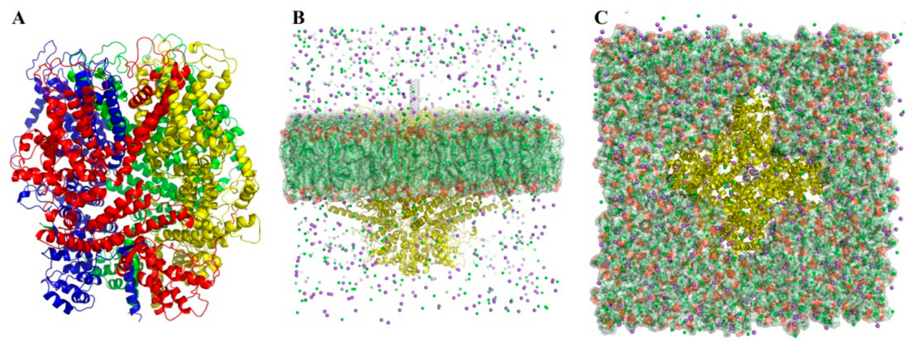 Nanomaterials 11 03410 g001