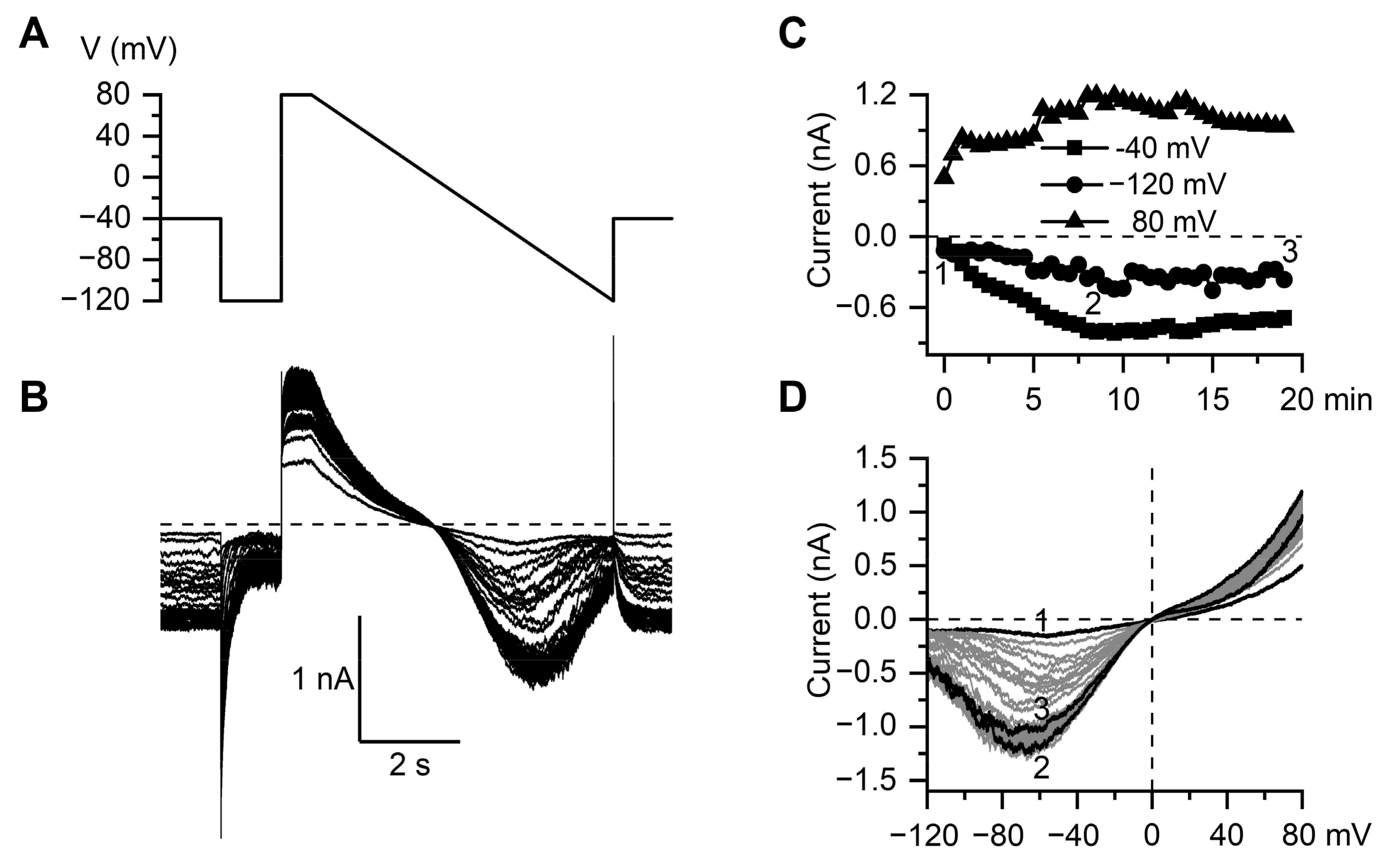 Nanomaterials 11 03410 g006