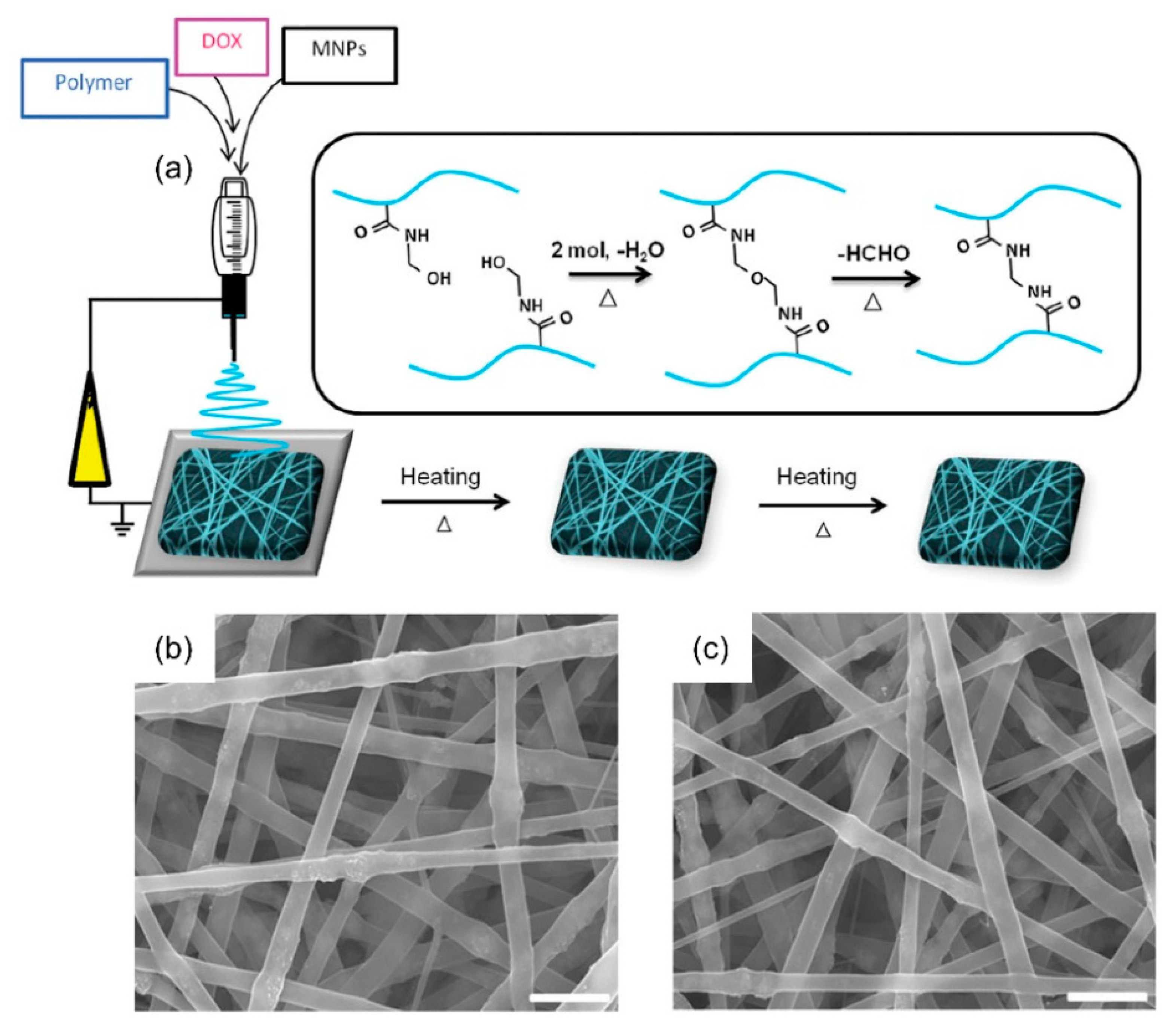 Nanomaterials 11 03411 g003