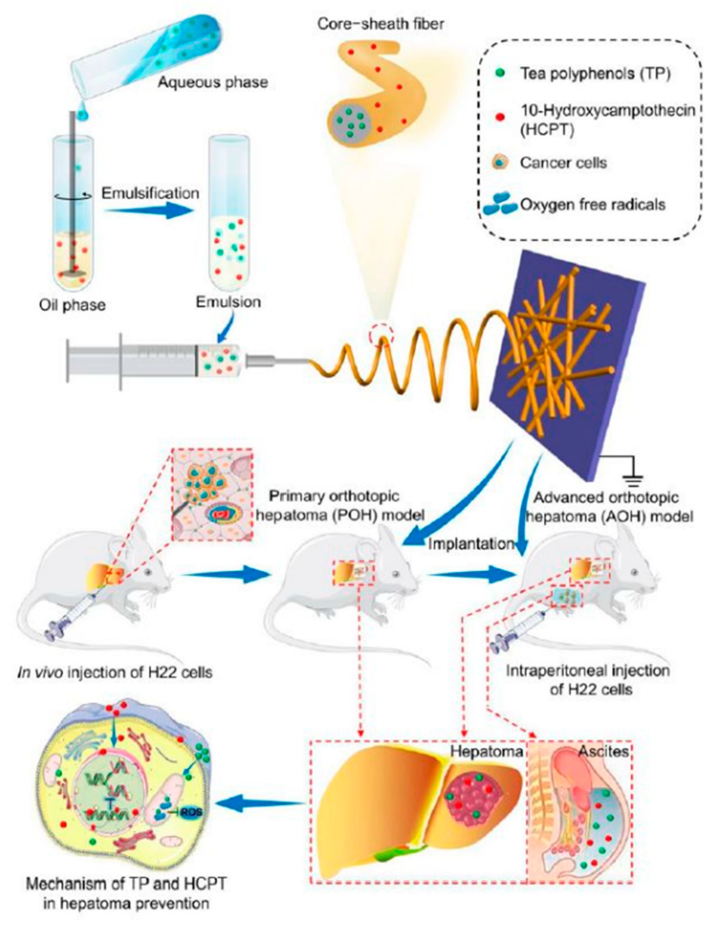 Nanomaterials 11 03411 g004