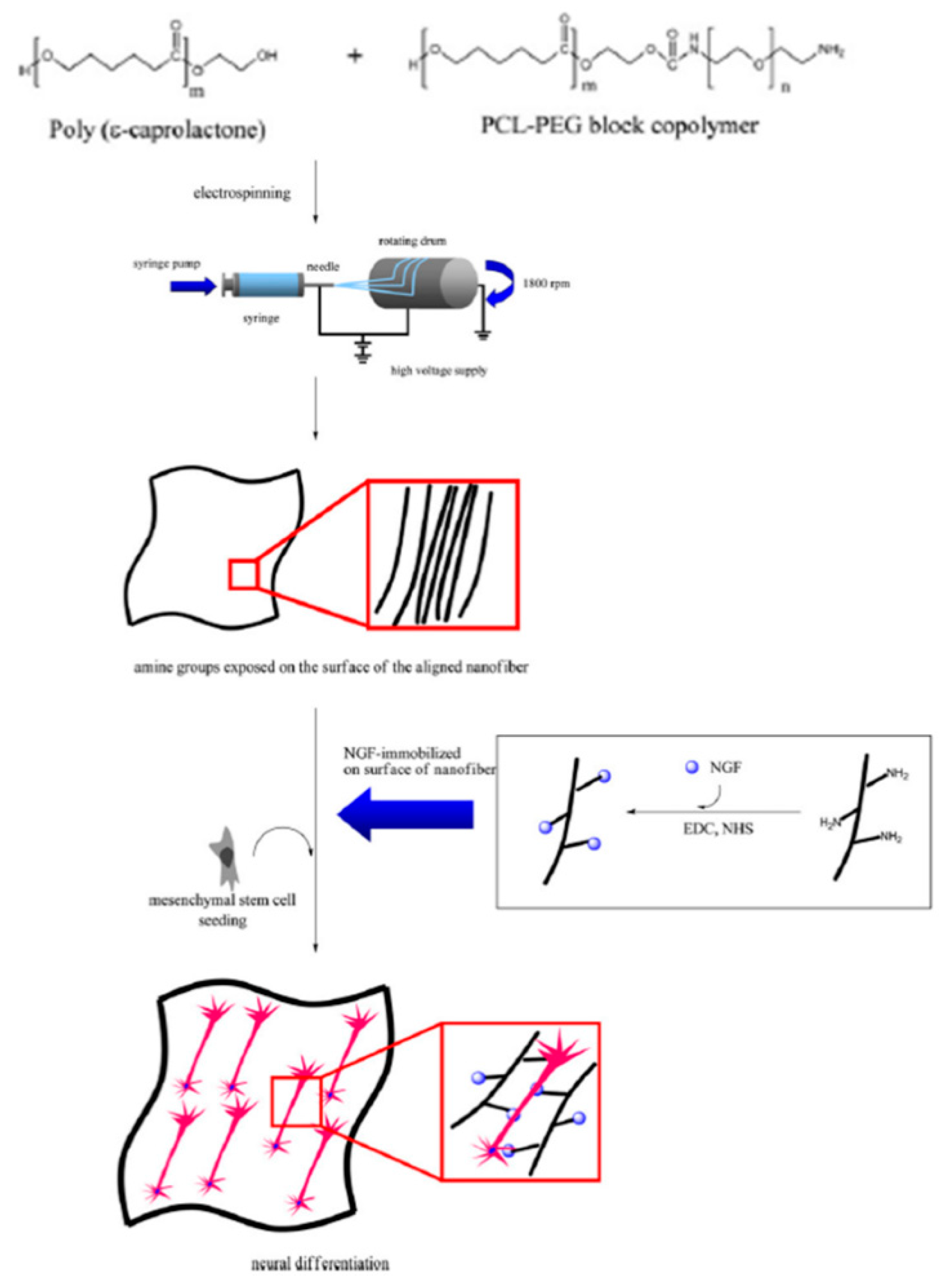 Nanomaterials 11 03411 g008