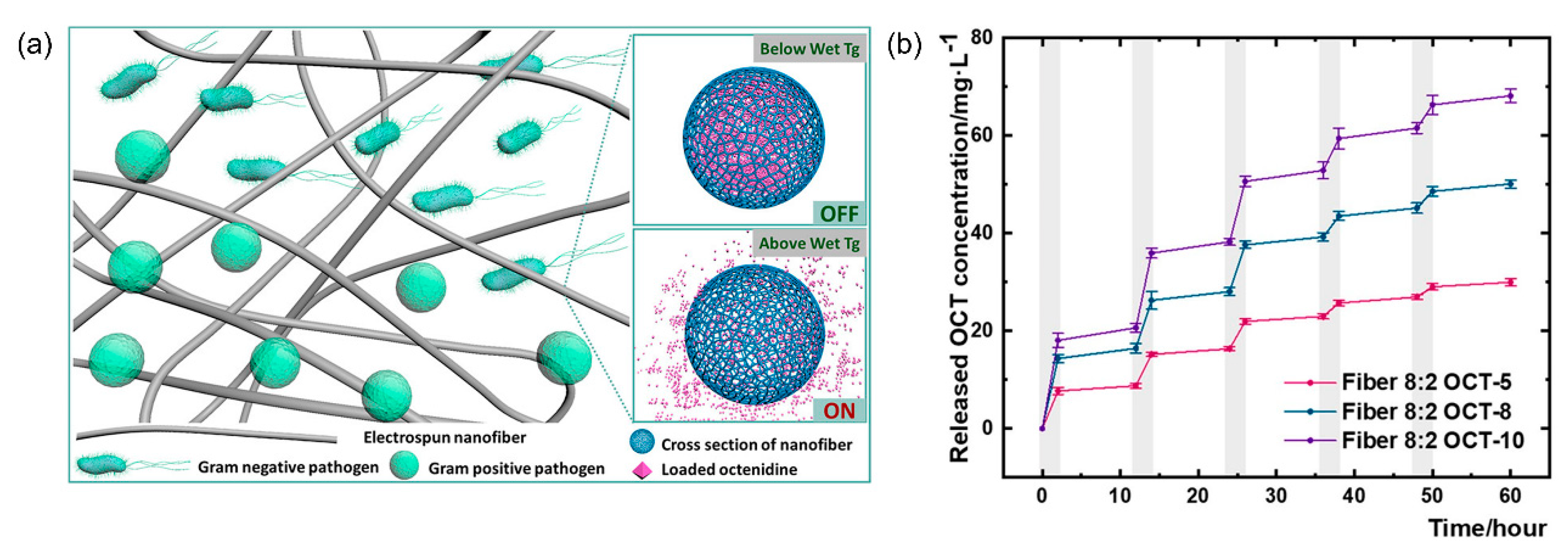 Nanomaterials 11 03411 g010