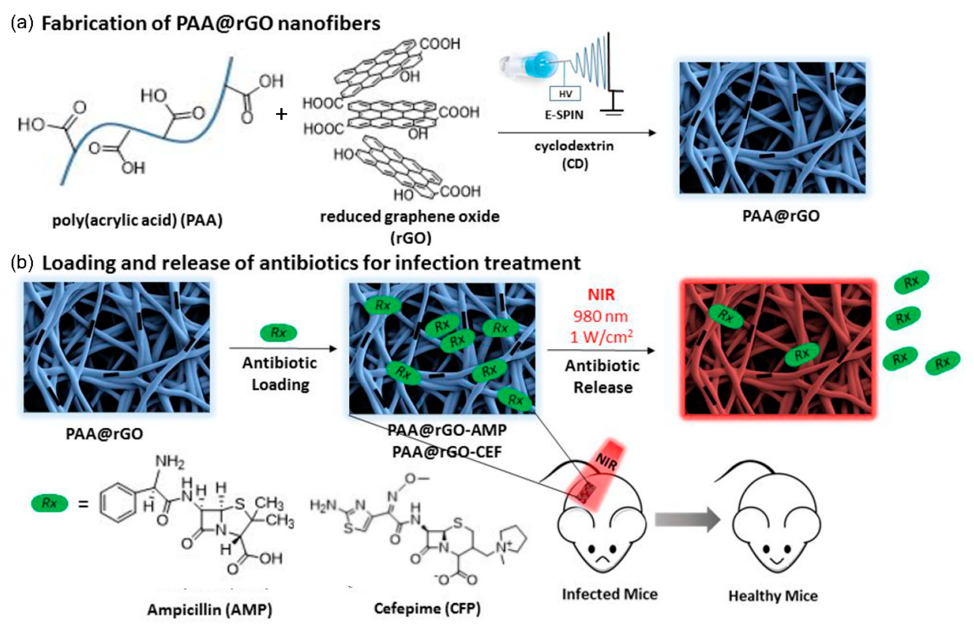 Nanomaterials 11 03411 g012