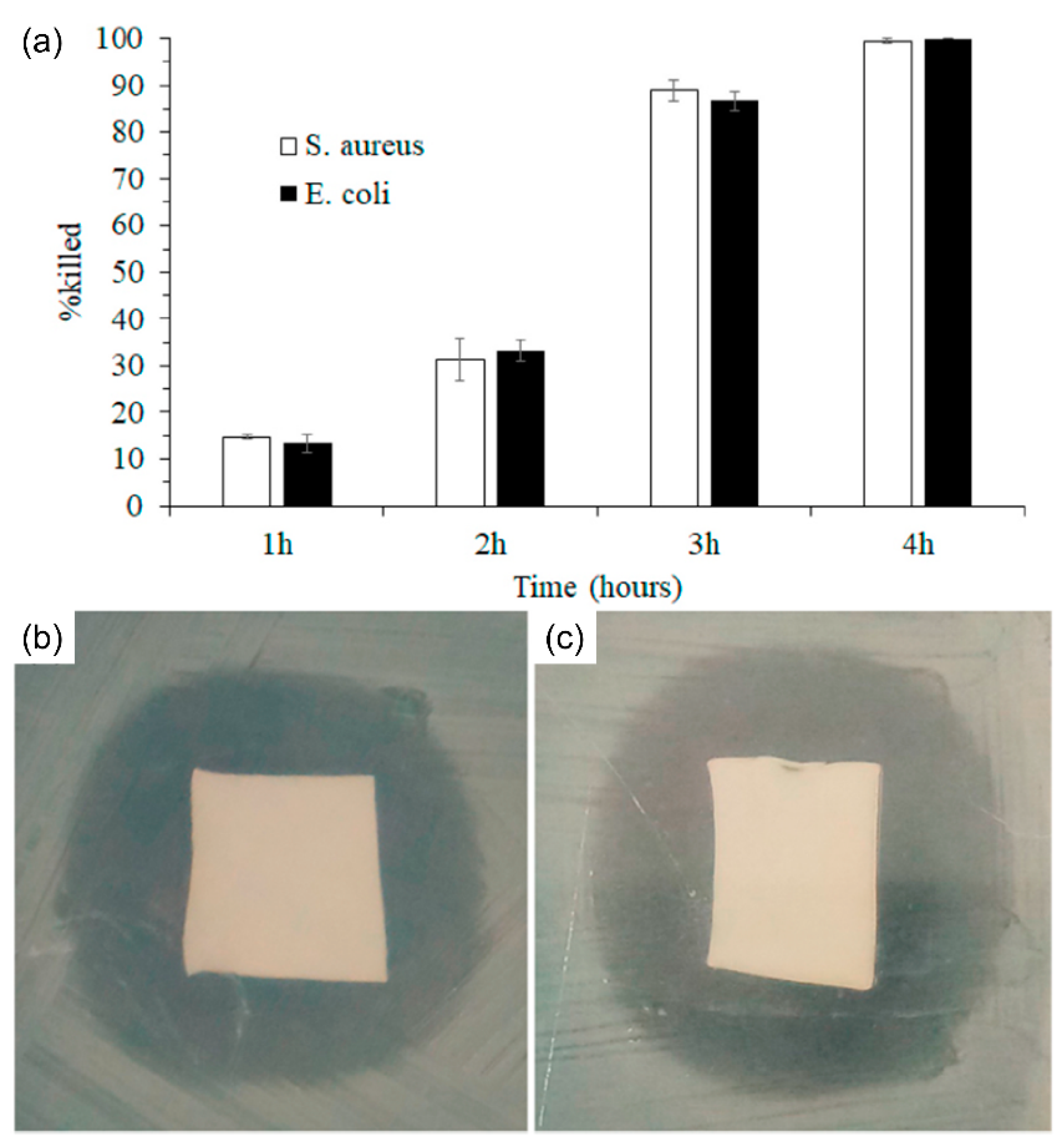 Nanomaterials 11 03411 g013