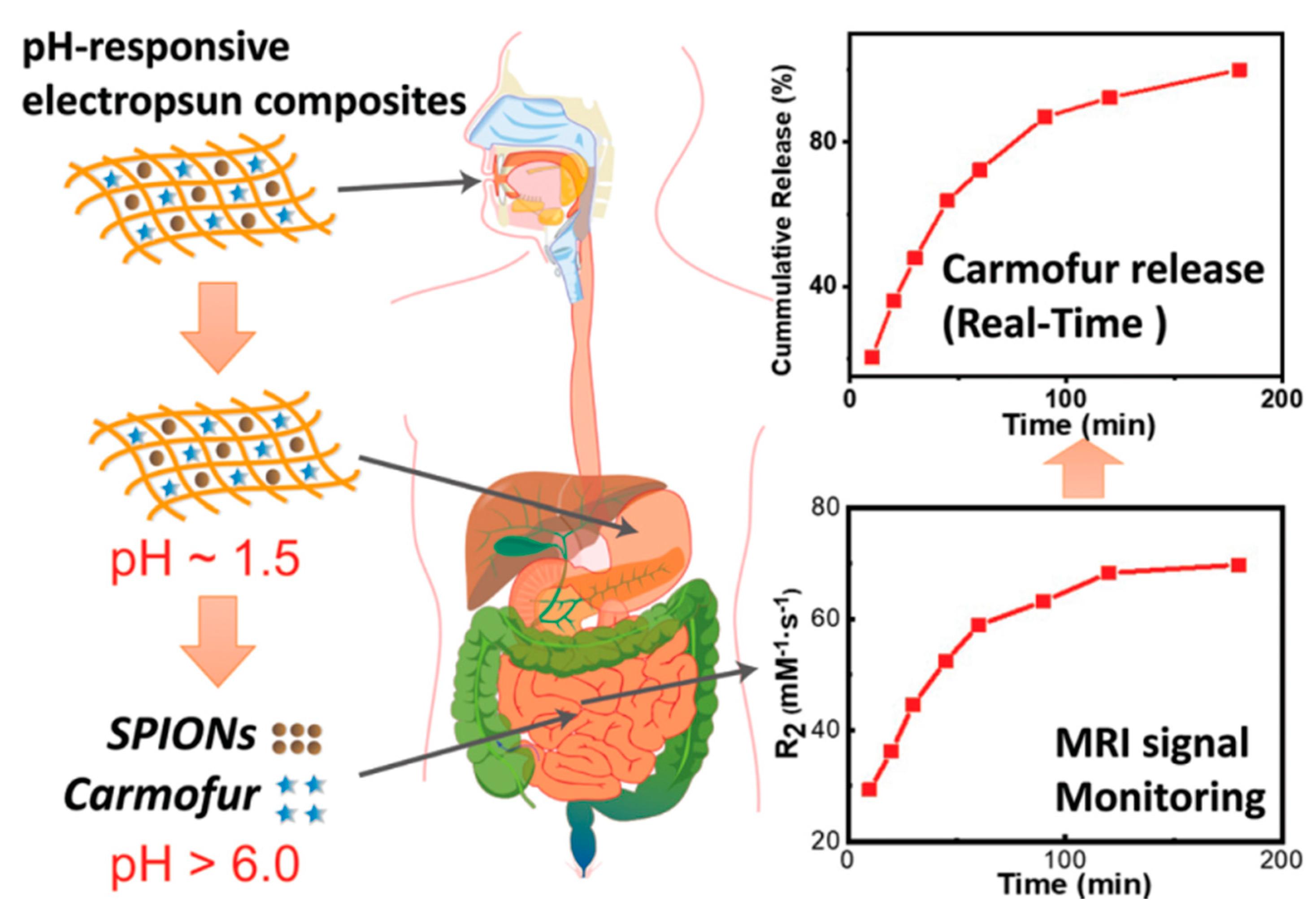 Nanomaterials 11 03411 g014