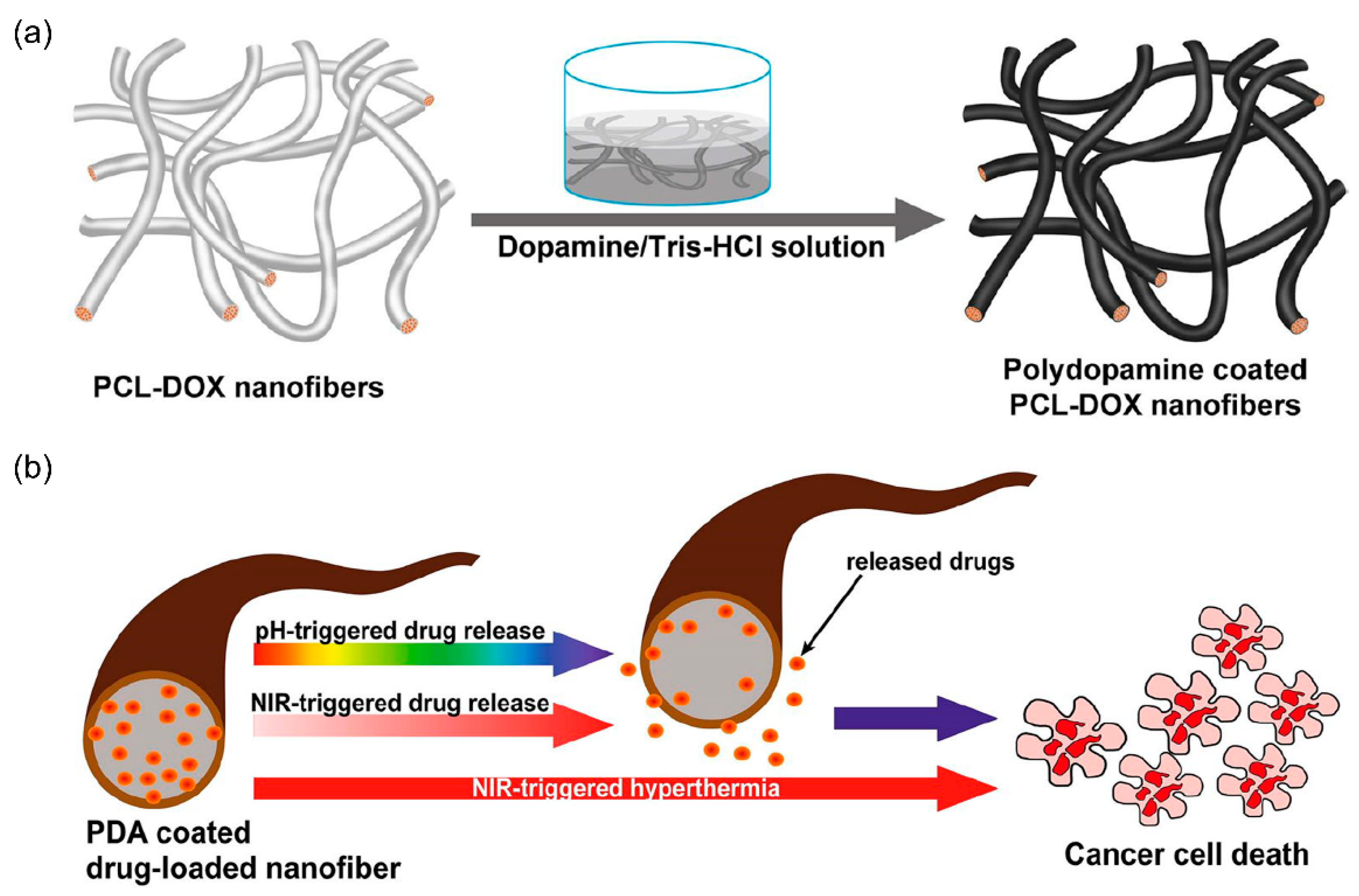 Nanomaterials 11 03411 g017
