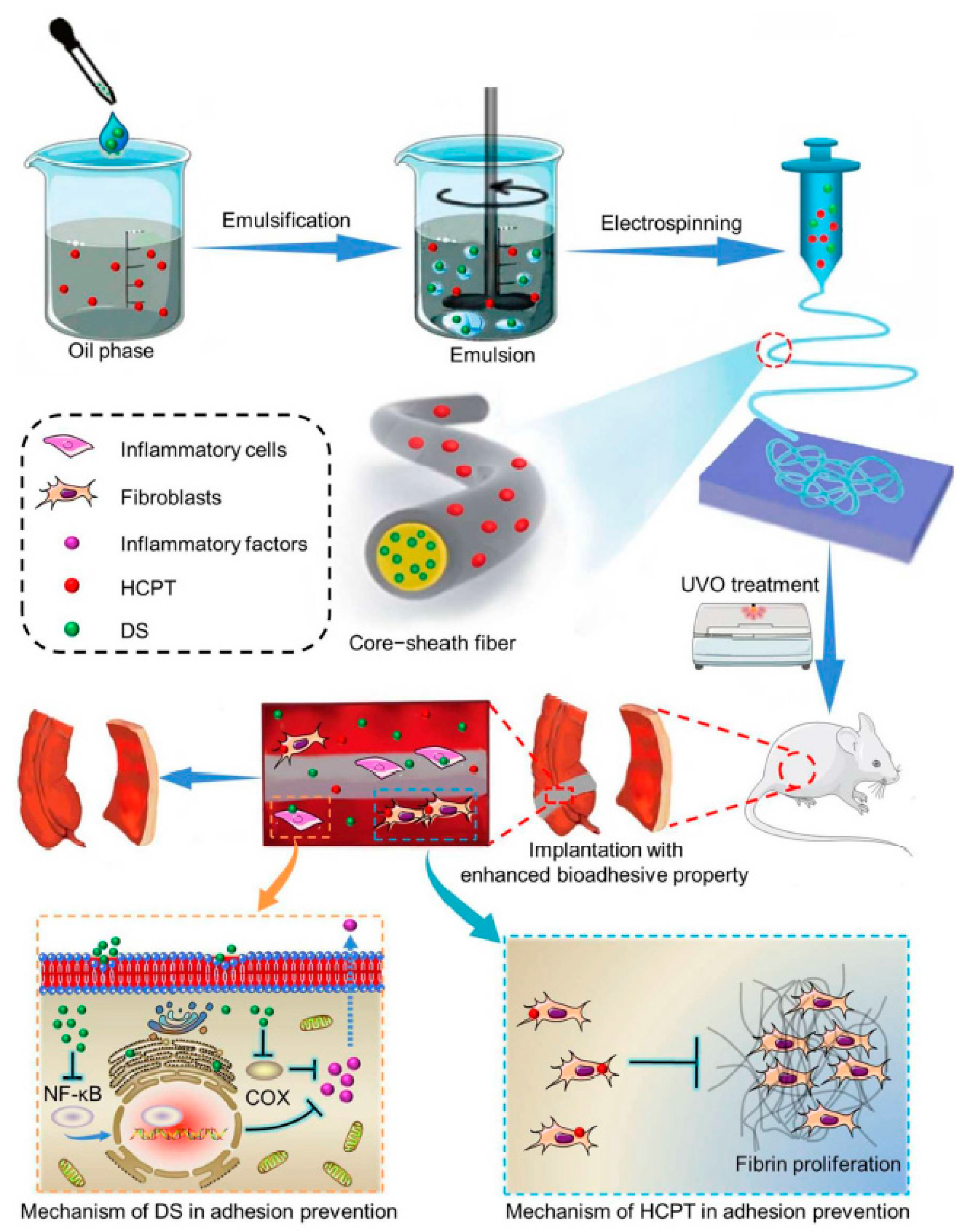 Nanomaterials 11 03411 g019