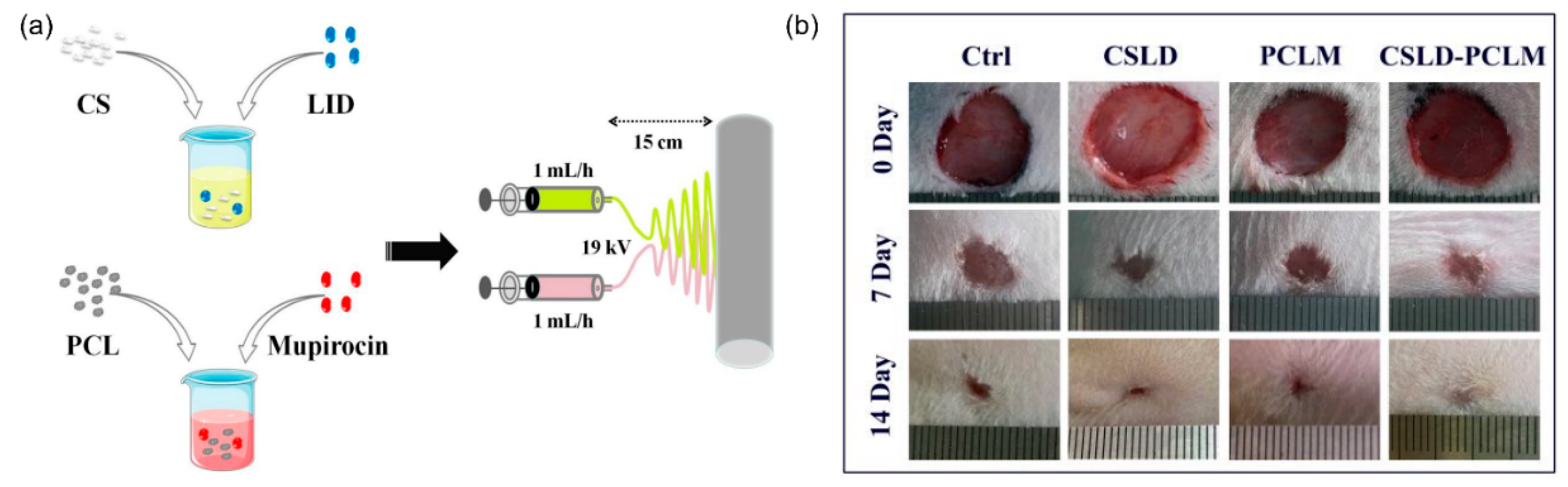Nanomaterials 11 03411 g020