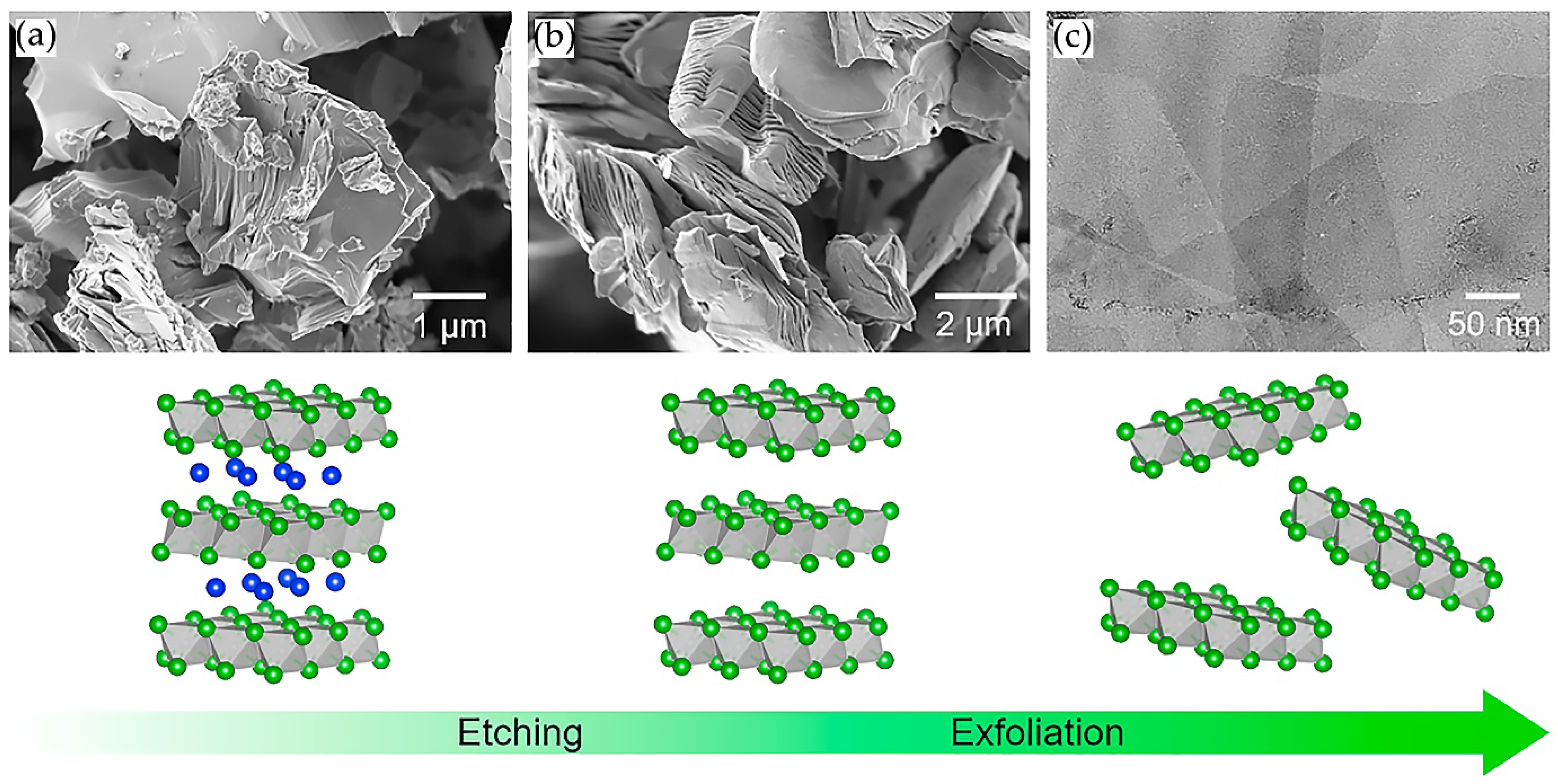 Nanomaterials 11 03412 g009 550