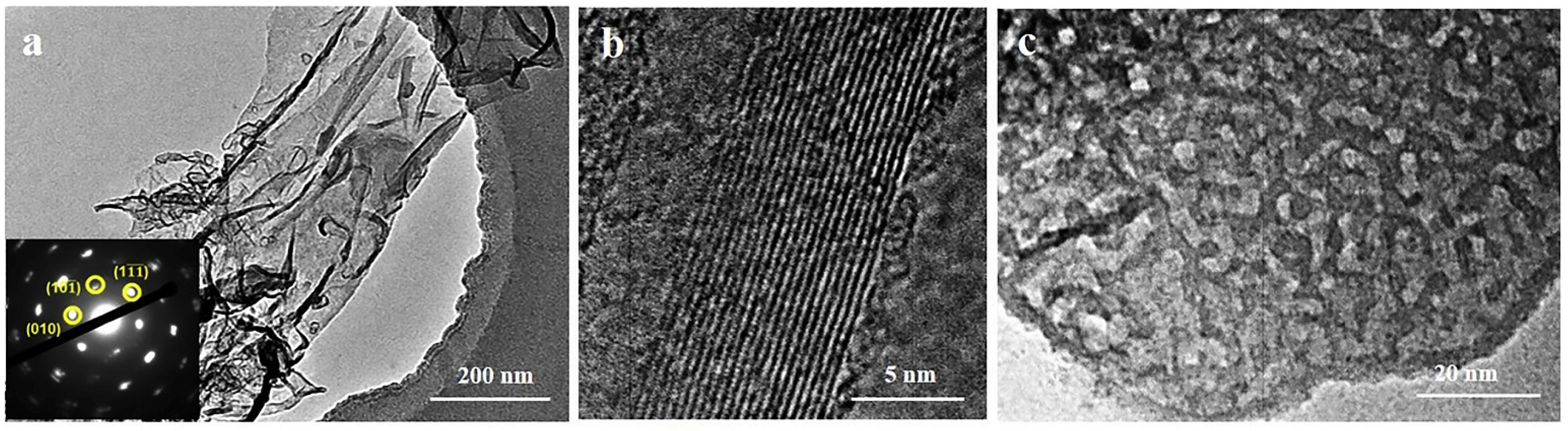 Nanomaterials 11 03412 g012 550