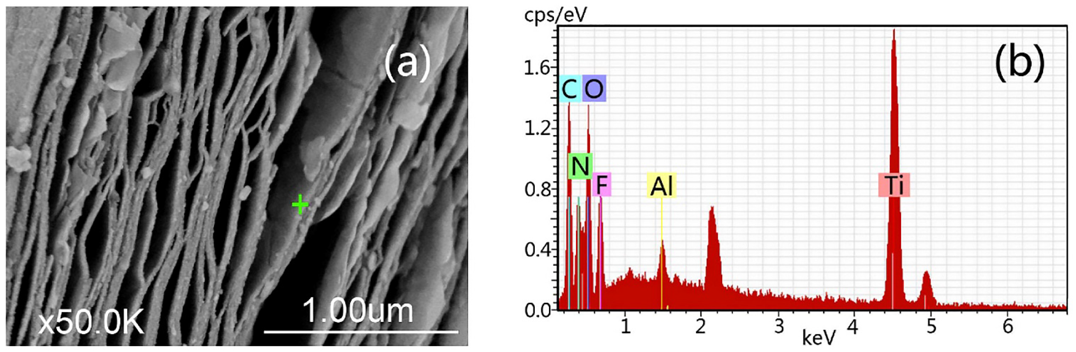 Nanomaterials 11 03412 g013 550