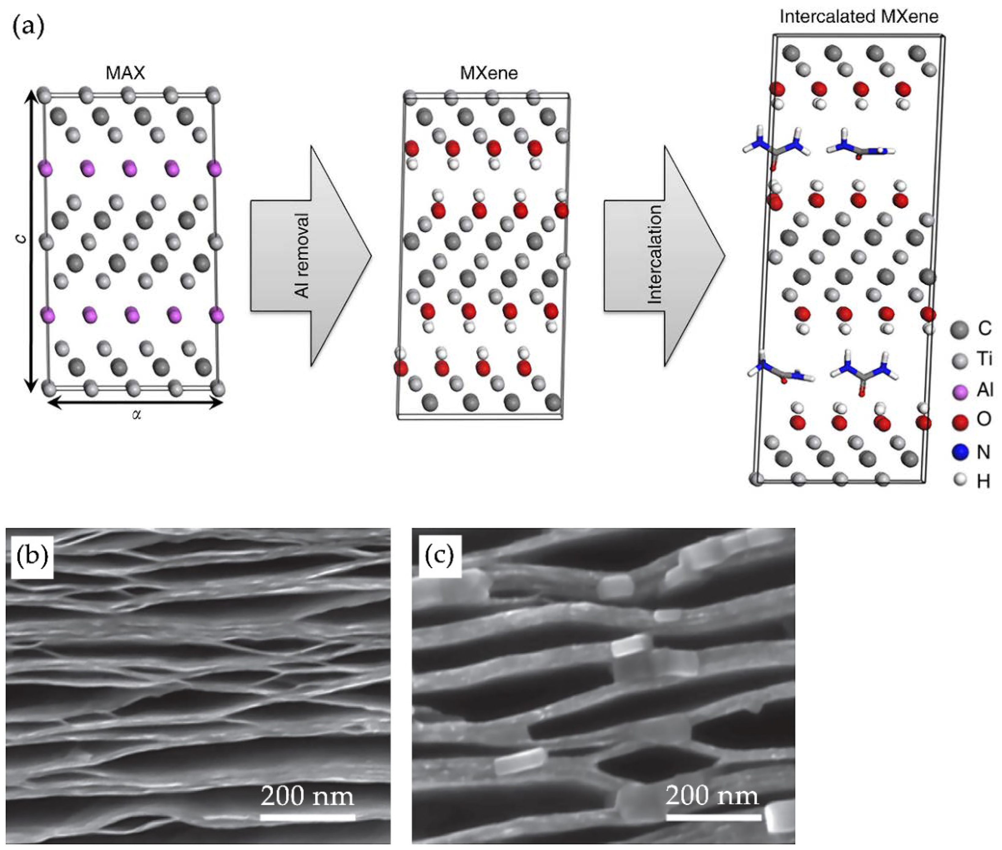 Nanomaterials 11 03412 g018 550
