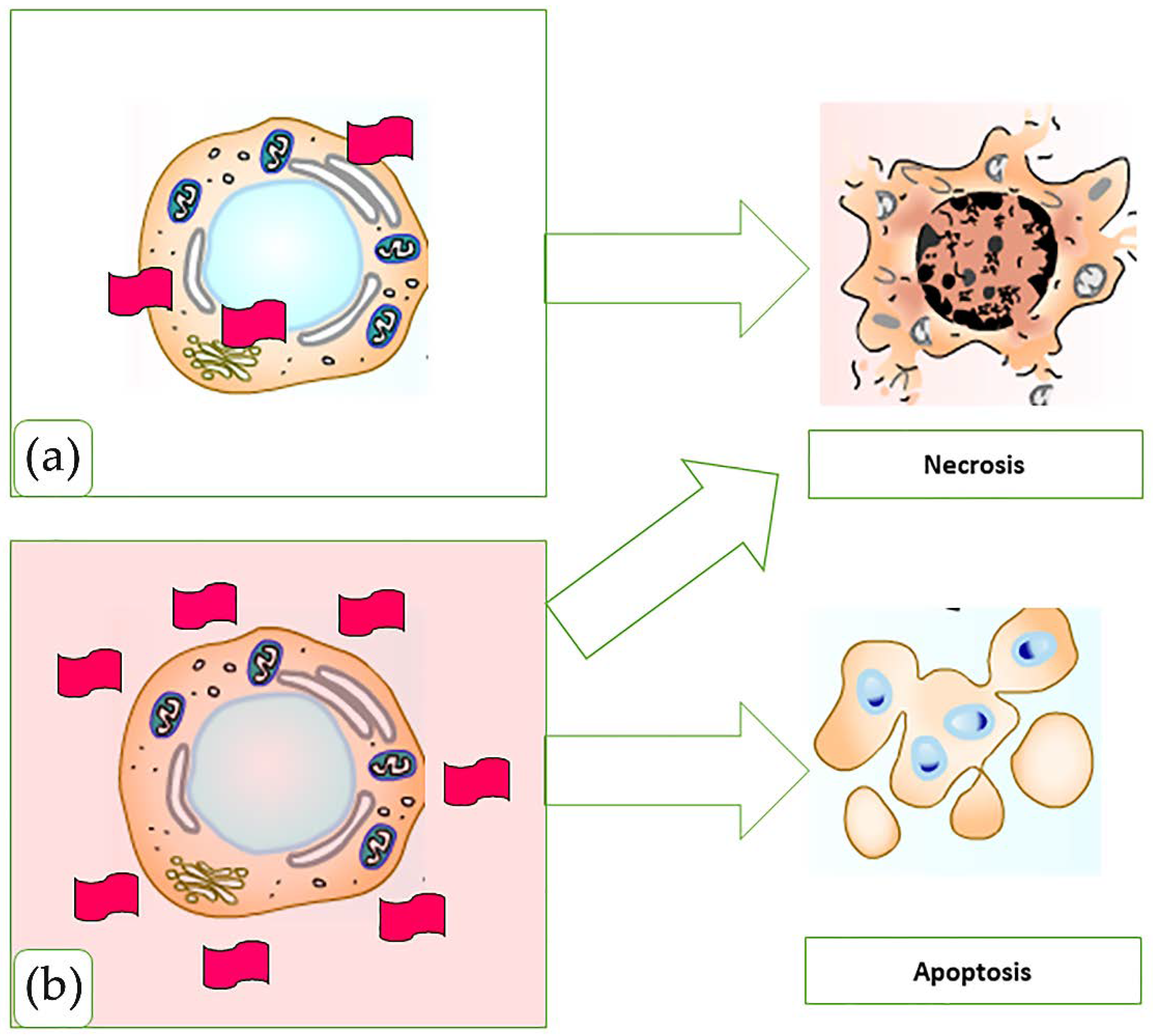 Nanomaterials 11 03412 g026 550