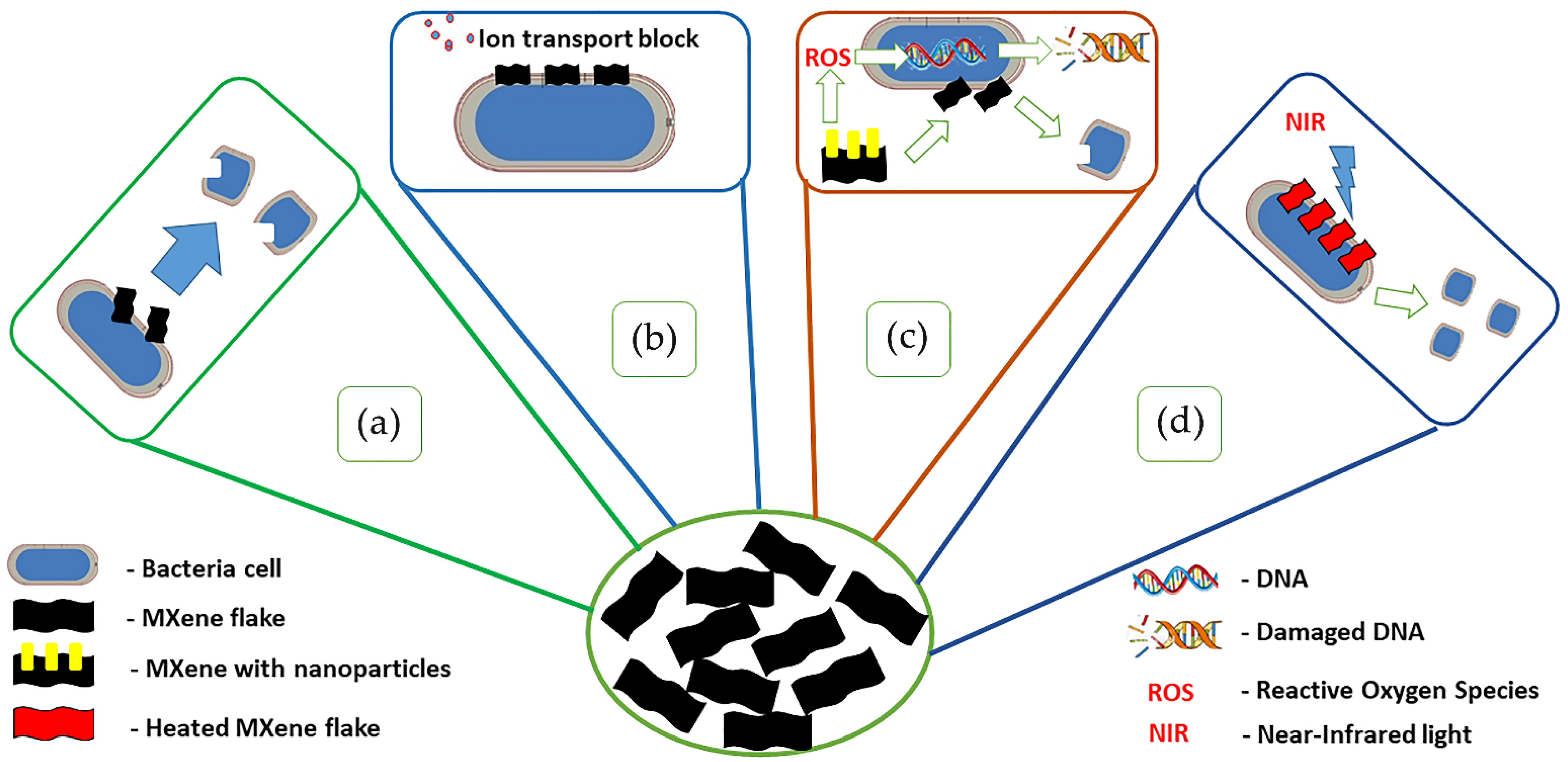 Nanomaterials 11 03412 g027 550