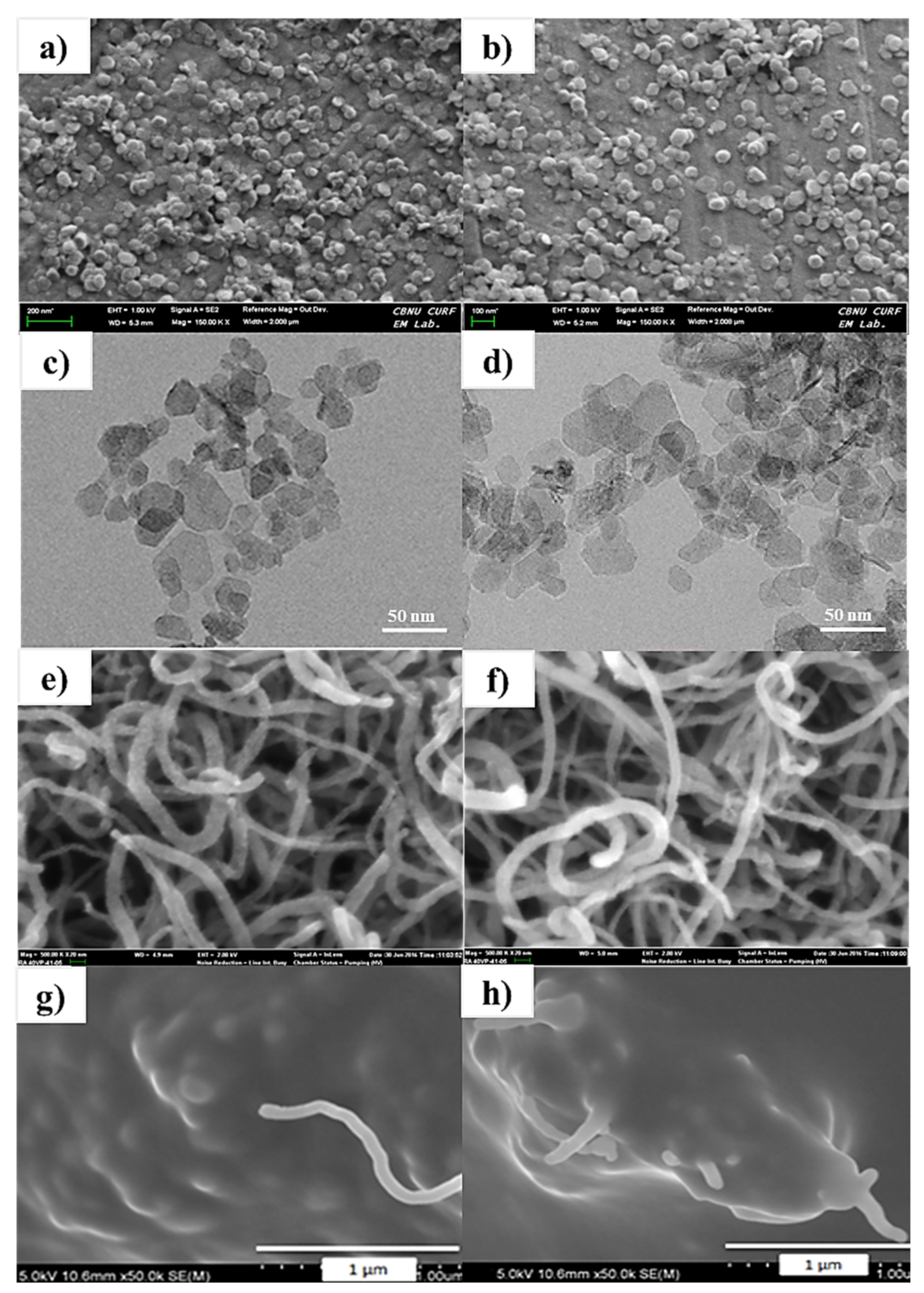 Nanomaterials 11 03418 g001