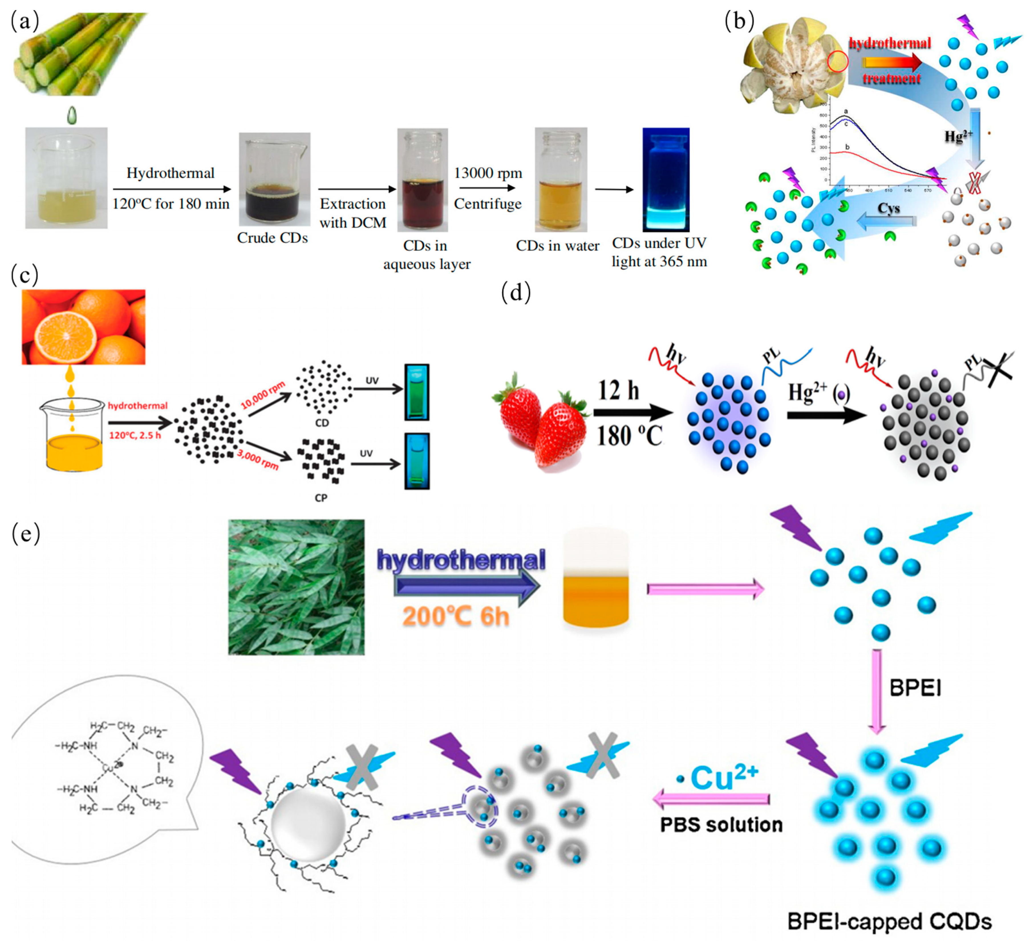 Nanomaterials 11 03419 g006 550