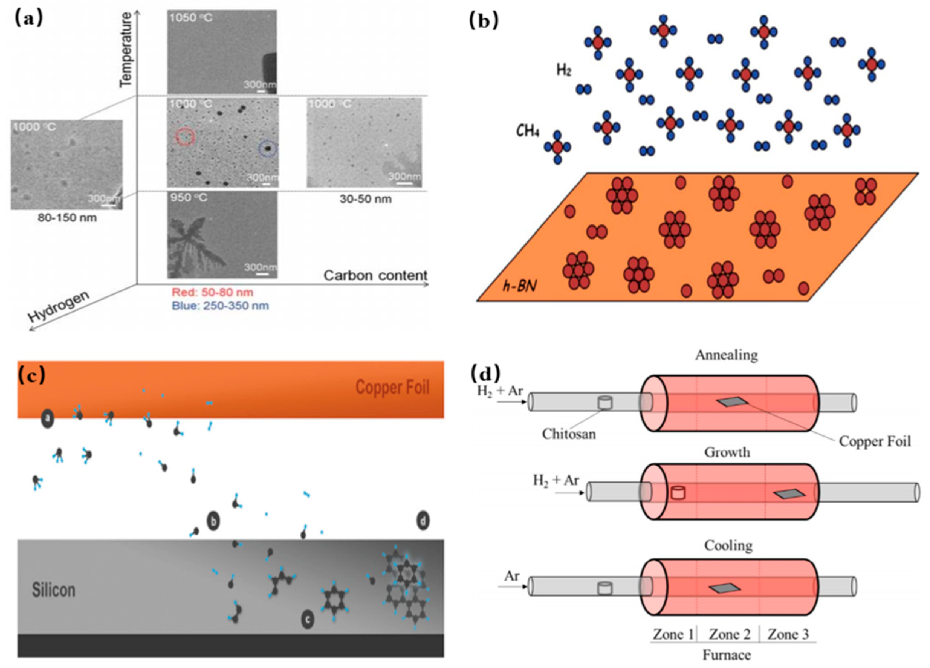Nanomaterials 11 03419 g009 550