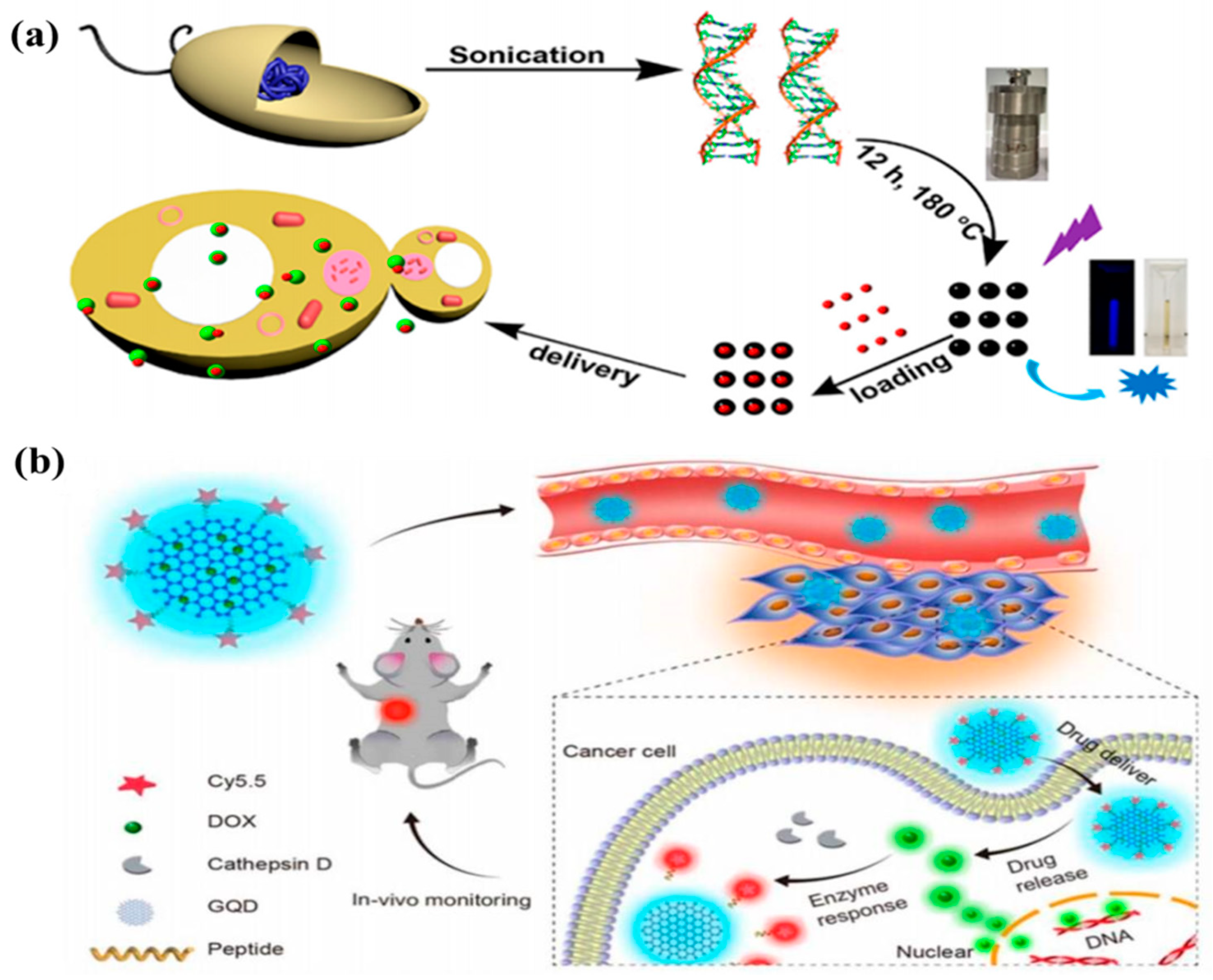 Nanomaterials 11 03419 g022 550