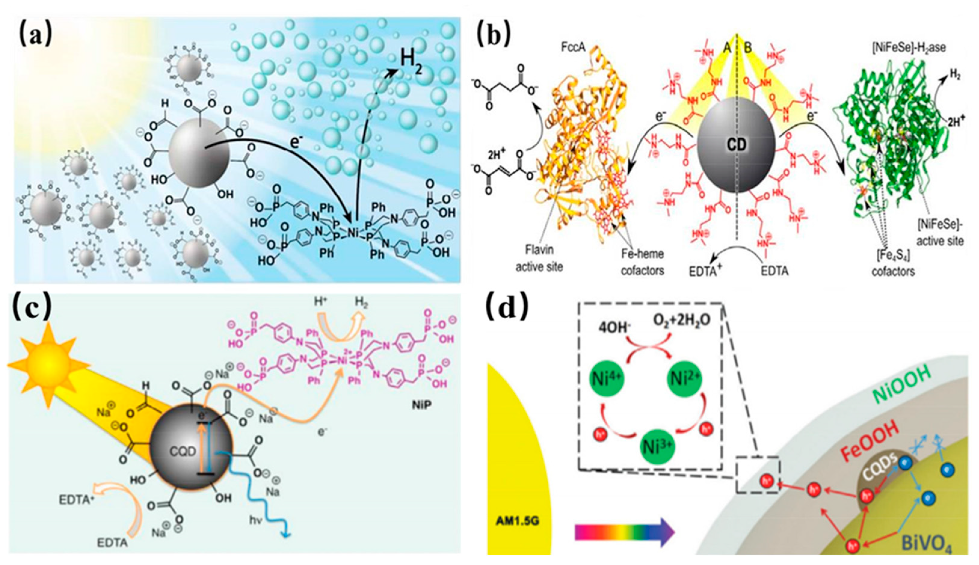 Nanomaterials 11 03419 g024 550