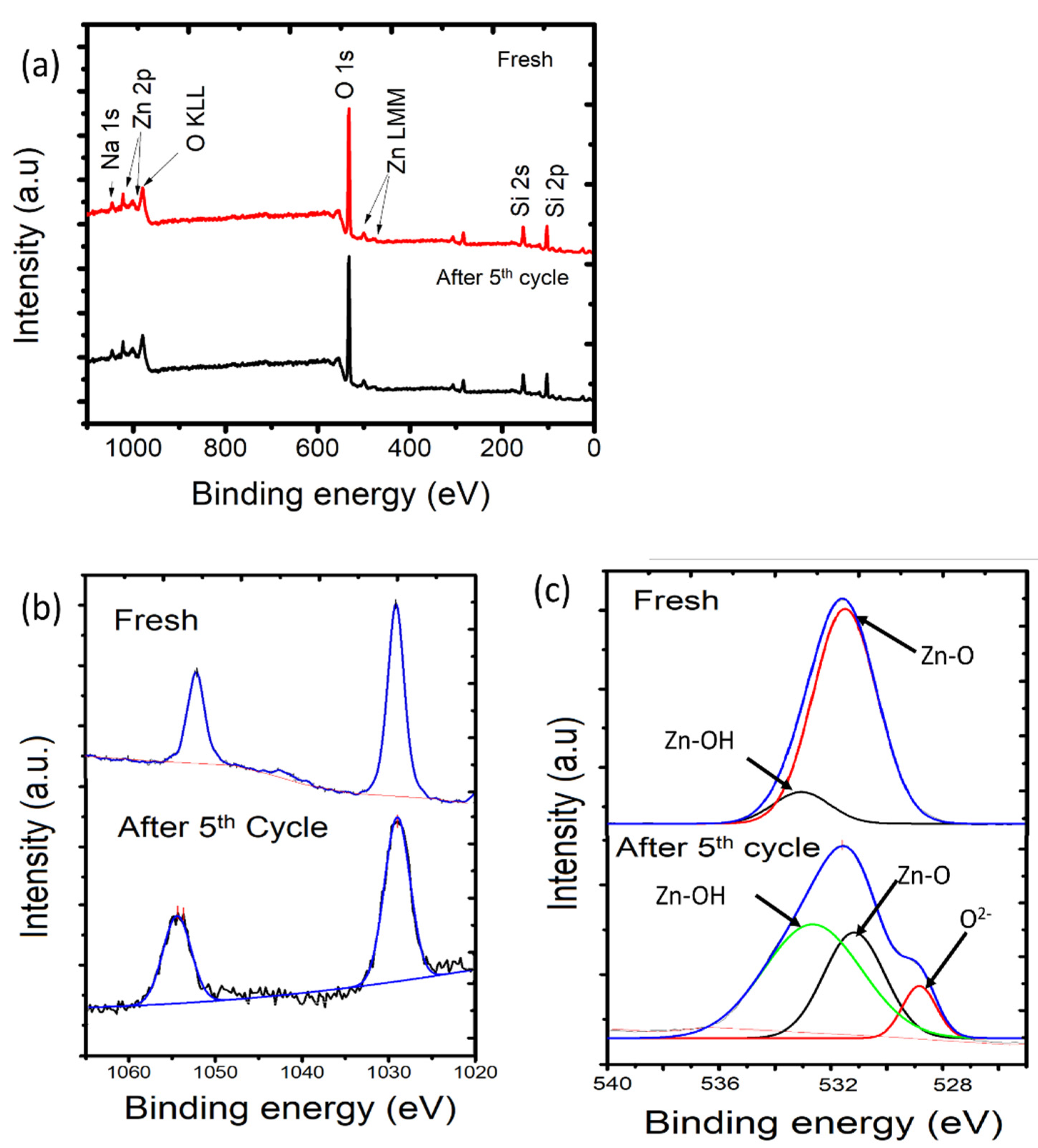Nanomaterials 11 03427 g014
