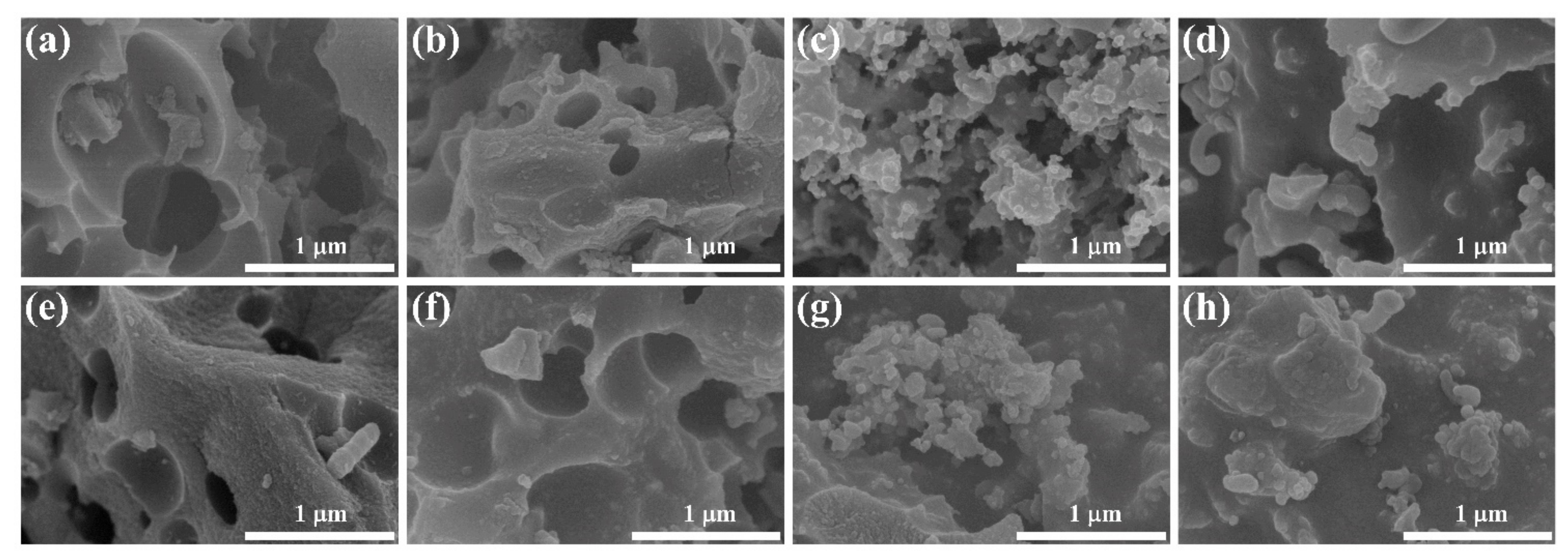 Nanomaterials 11 03429 g002