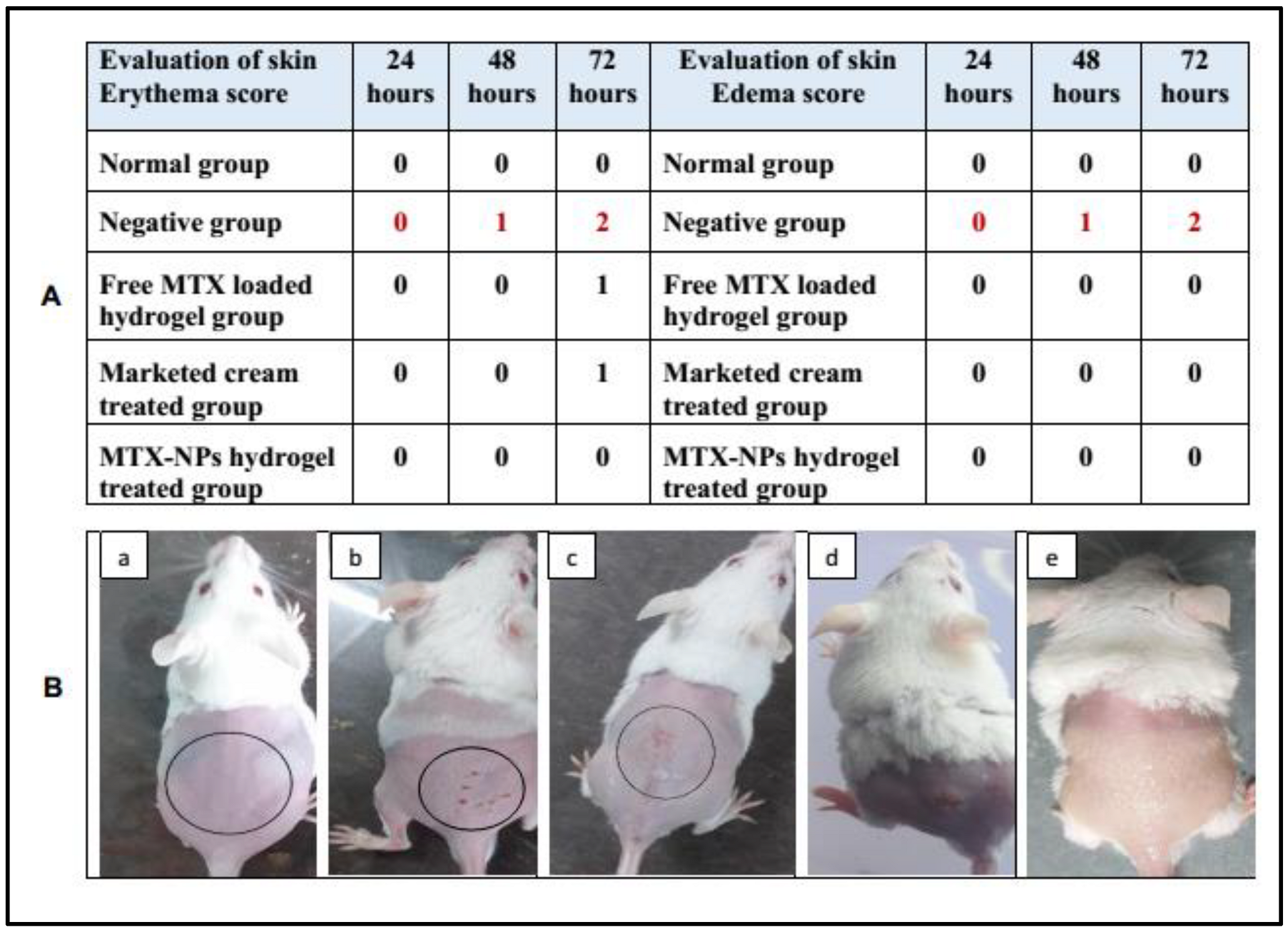 Nanomaterials 11 03433 g009 550