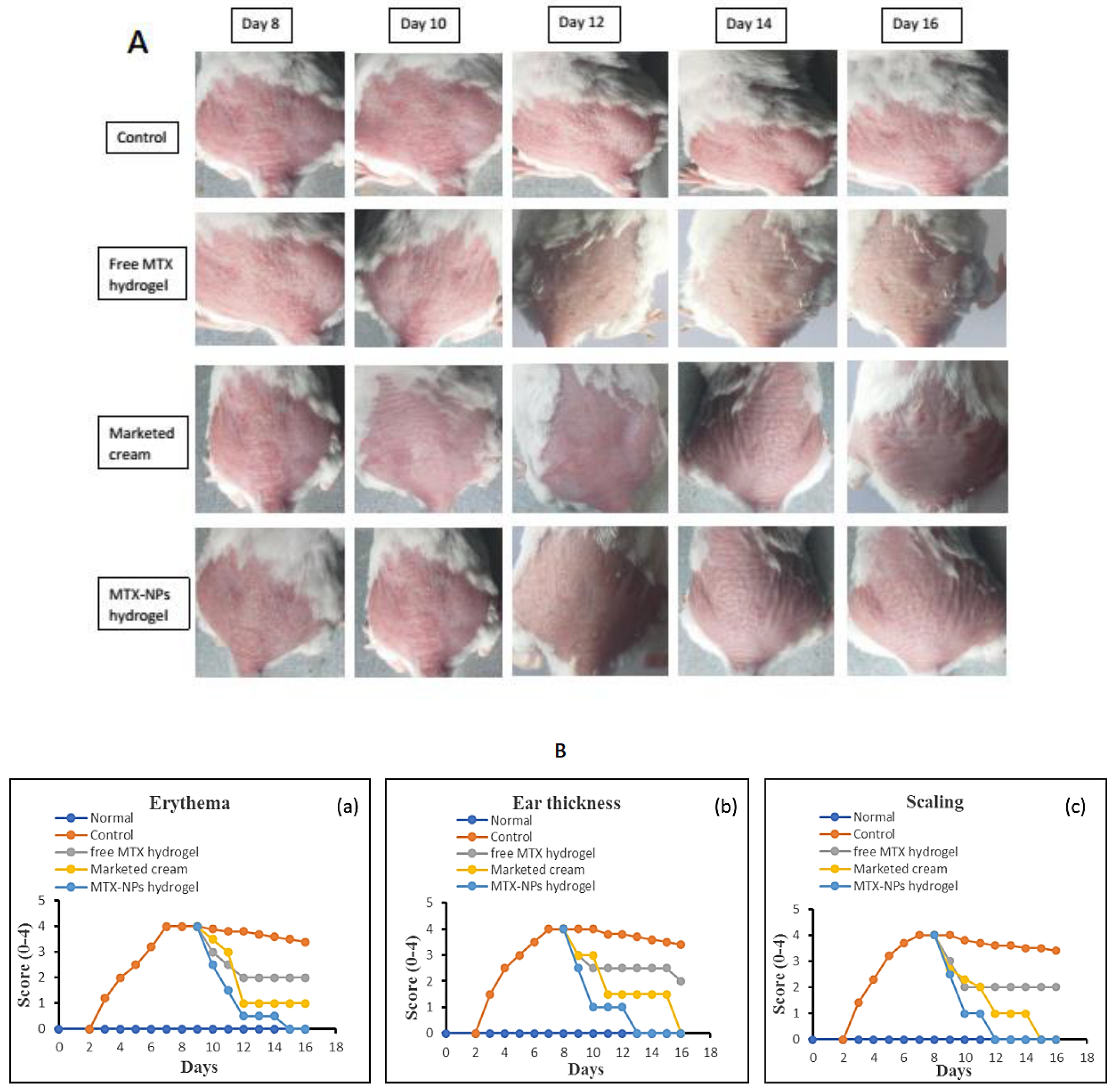 Nanomaterials 11 03433 g010 550