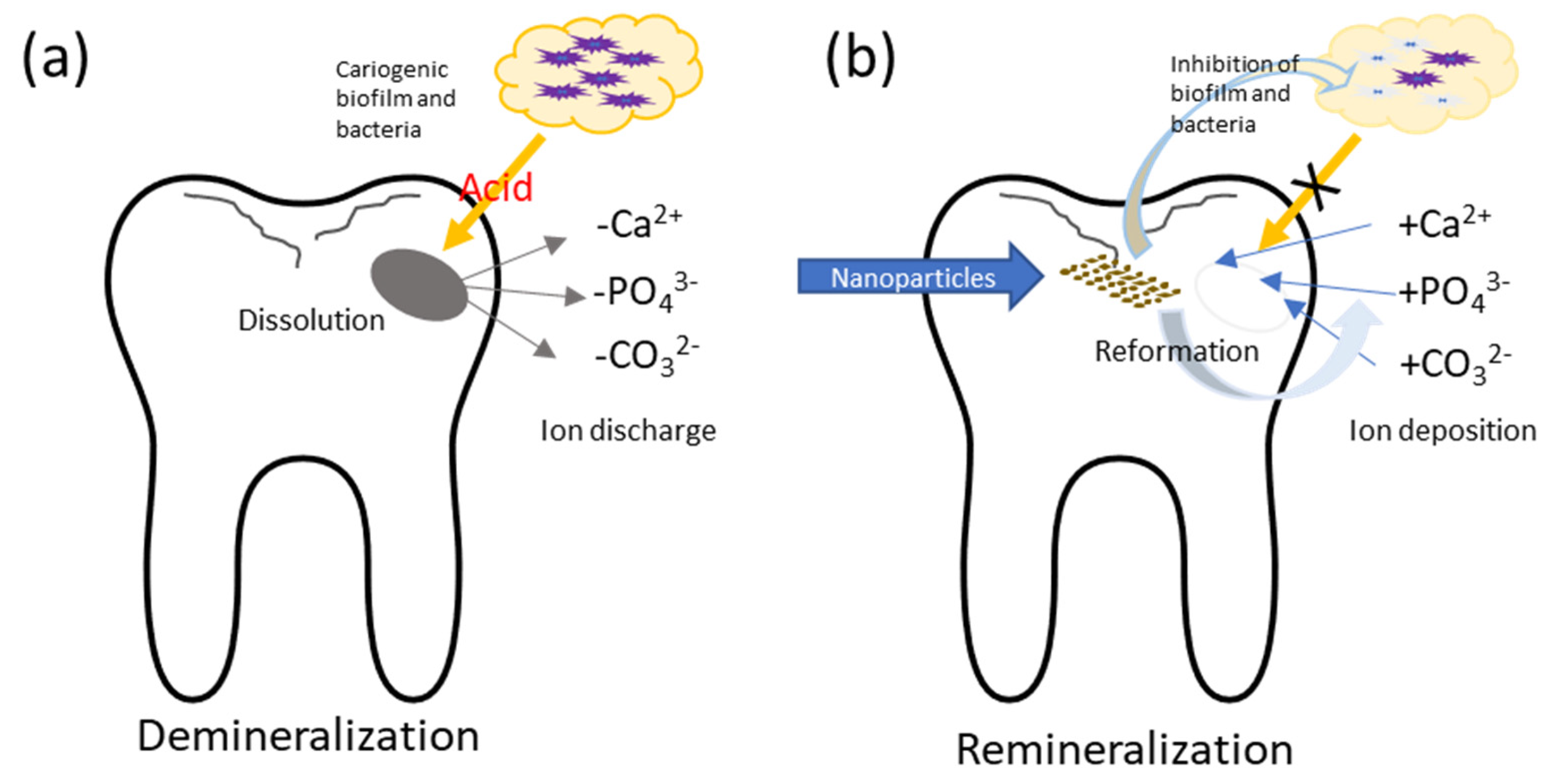 Nanomaterials 11 03446 g001