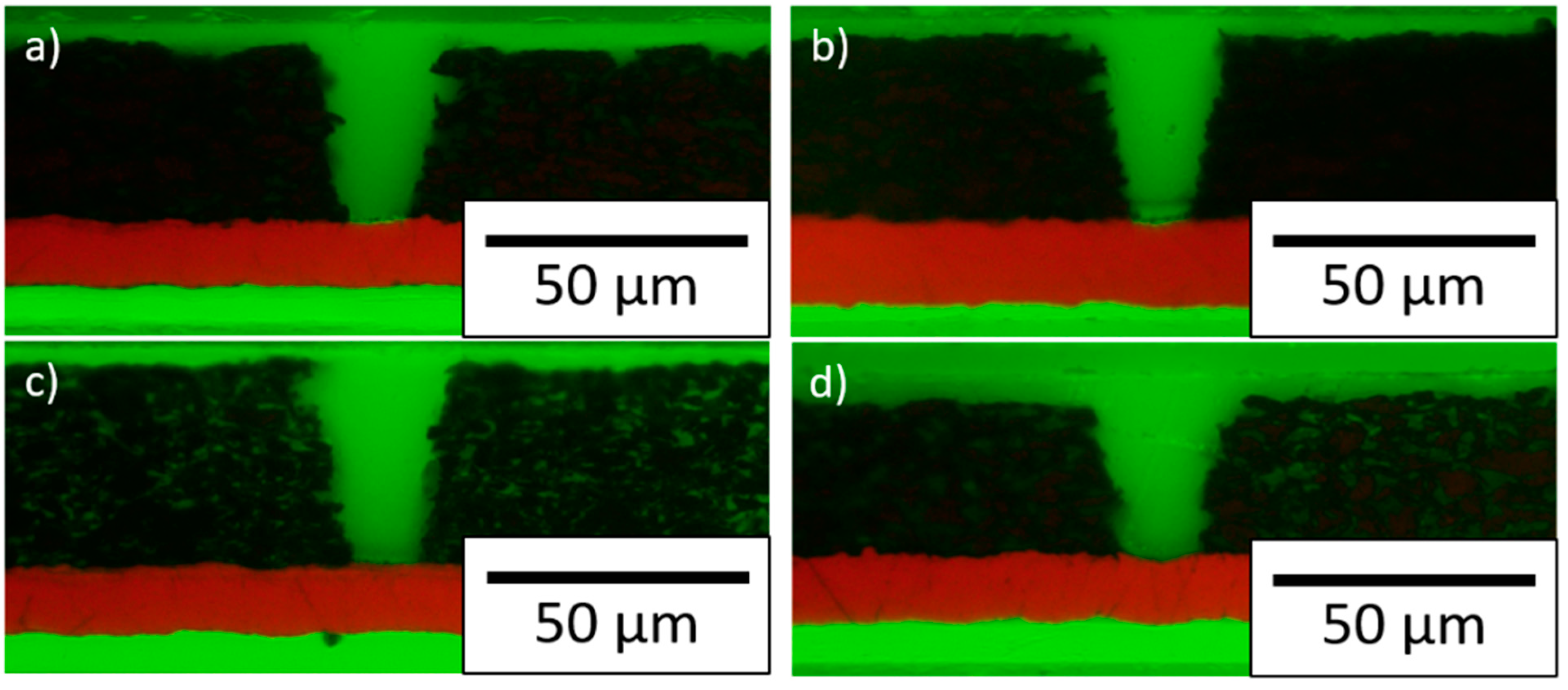 Nanomaterials 11 03448 g005 550