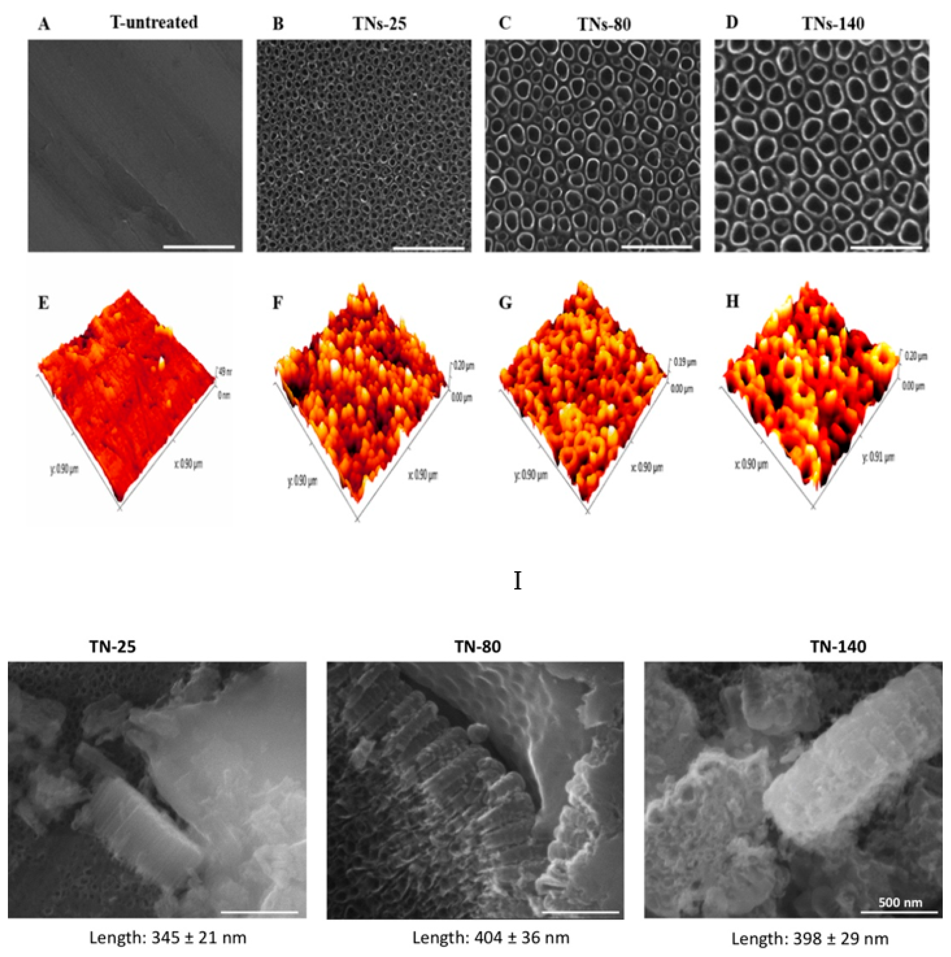 Nanomaterials 11 03452 g001 550