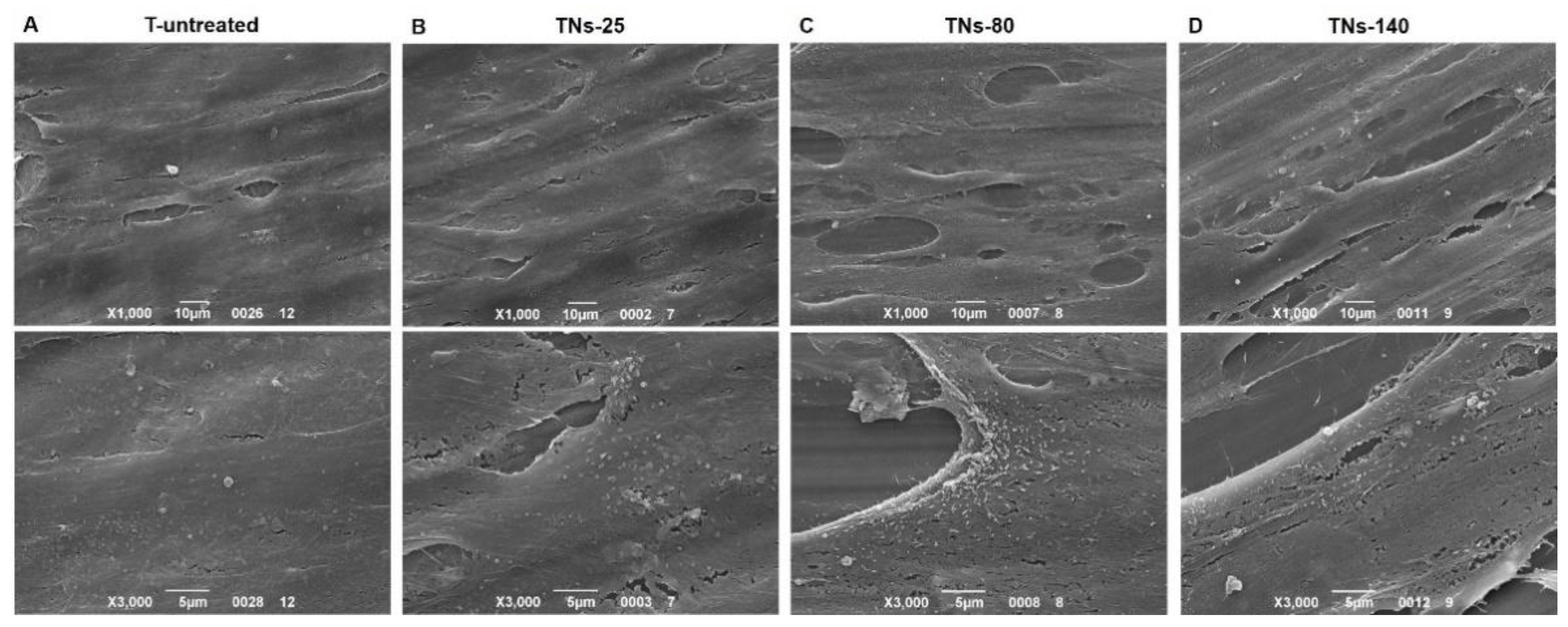 Nanomaterials 11 03452 g004 550