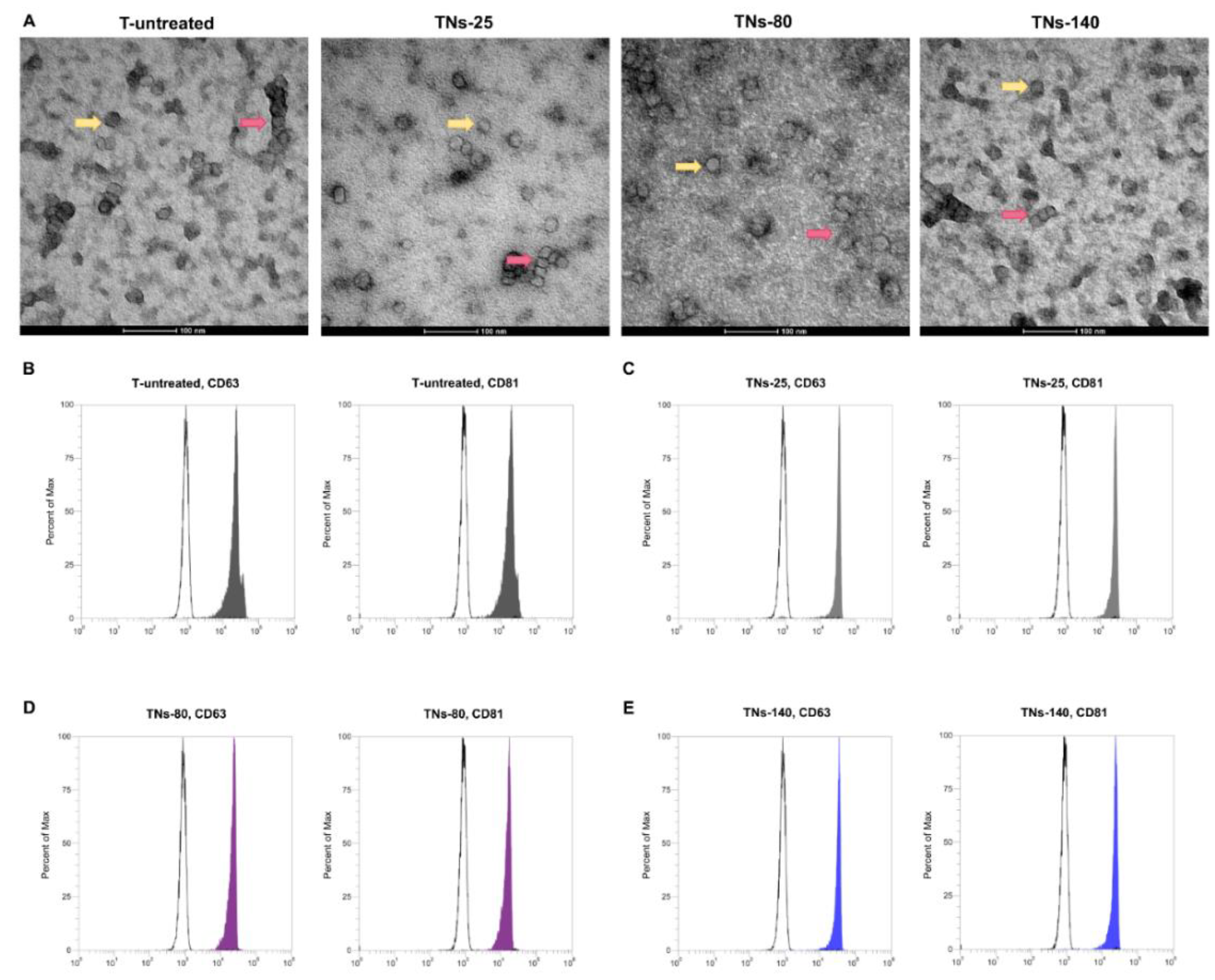 Nanomaterials 11 03452 g006 550